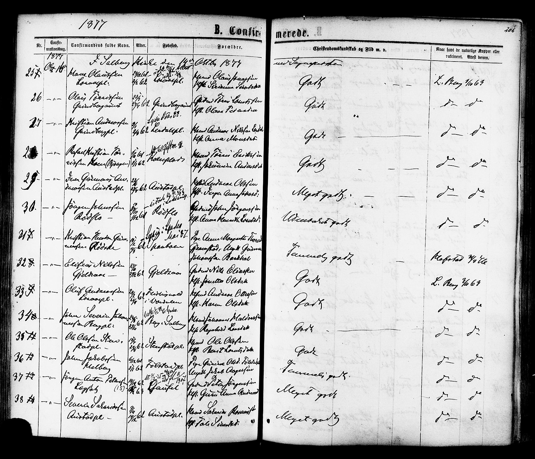 Ministerialprotokoller, klokkerbøker og fødselsregistre - Nord-Trøndelag, AV/SAT-A-1458/730/L0284: Parish register (official) no. 730A09, 1866-1878, p. 206