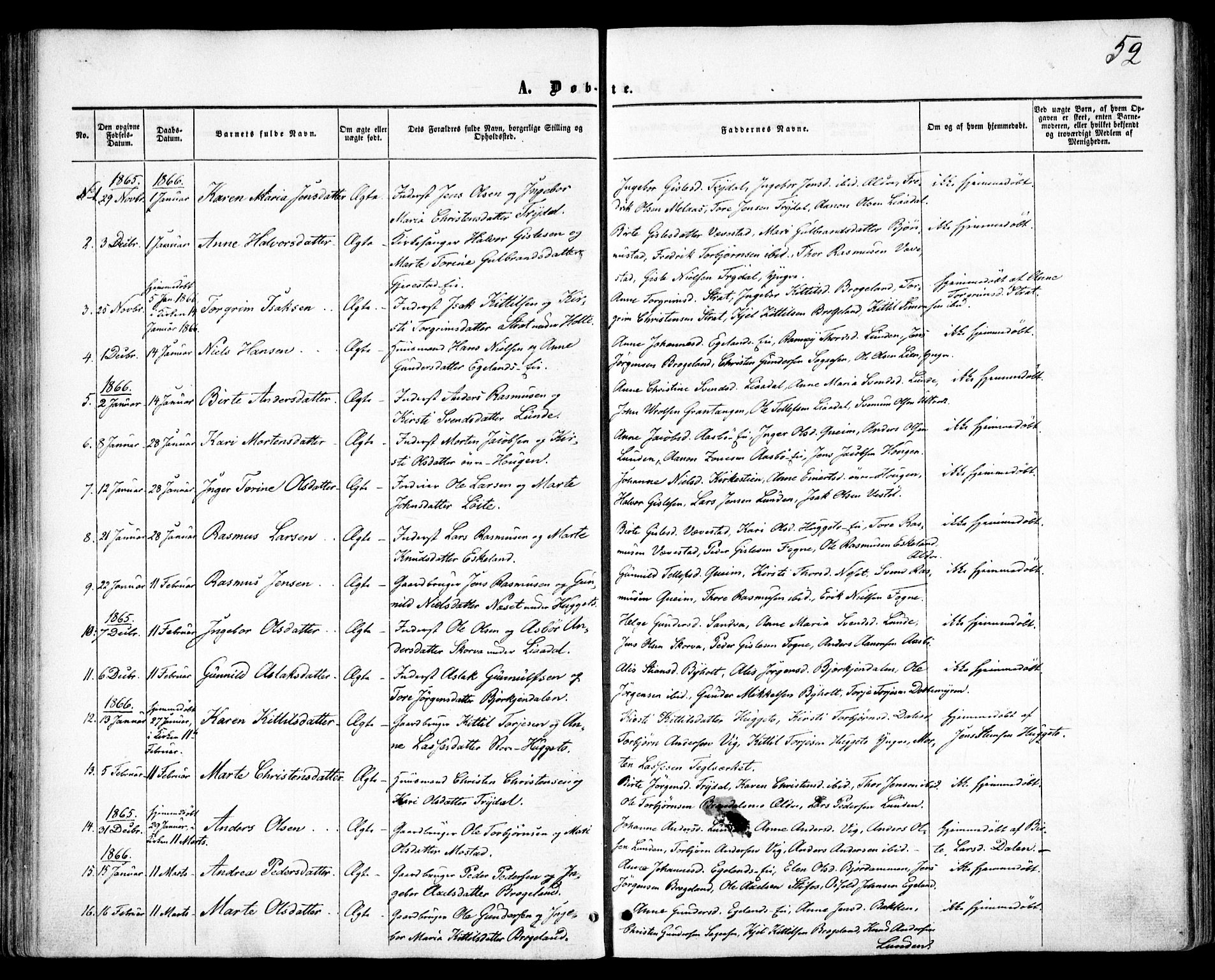 Gjerstad sokneprestkontor, SAK/1111-0014/F/Fa/Faa/L0007: Parish register (official) no. A 7, 1858-1875, p. 52