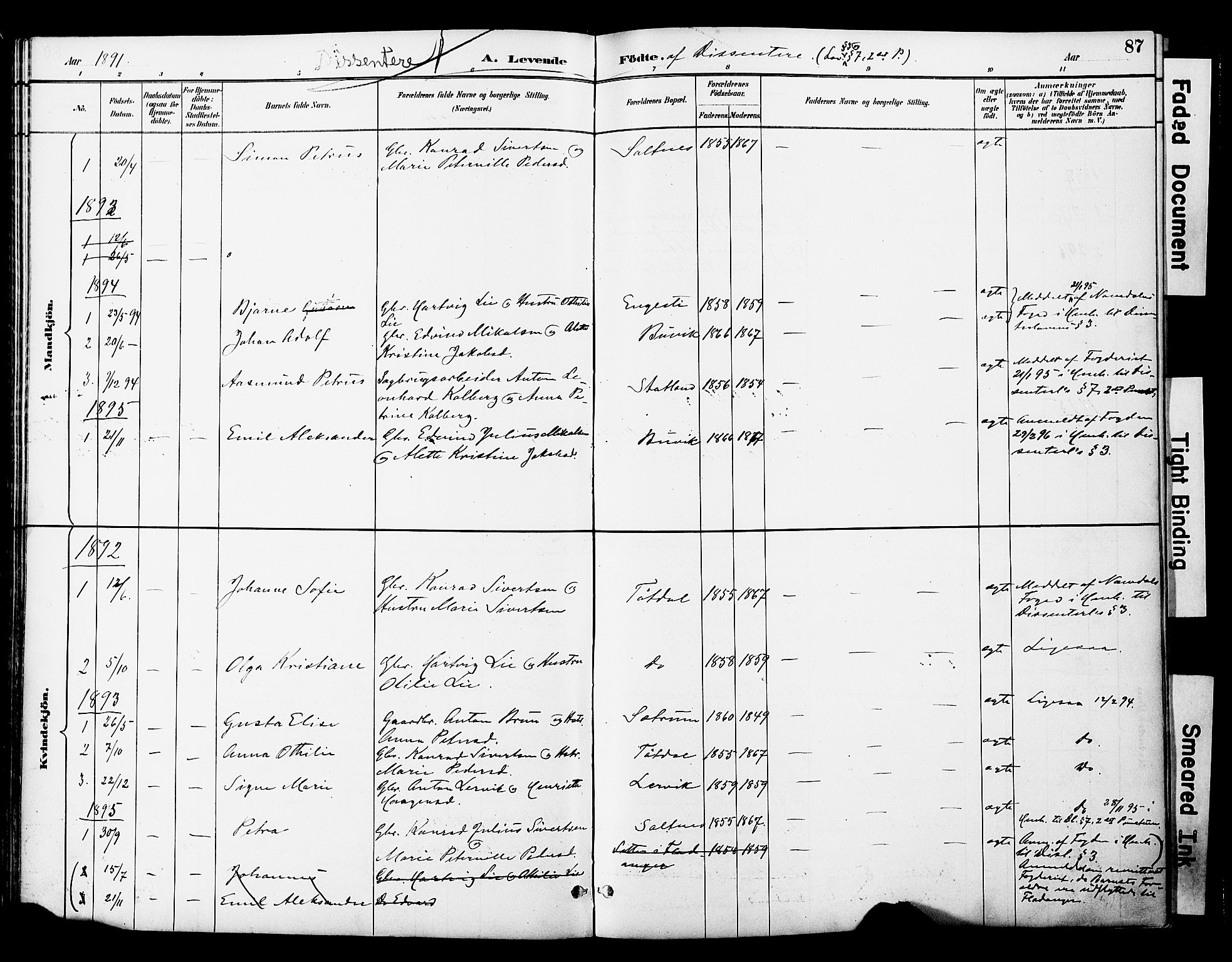 Ministerialprotokoller, klokkerbøker og fødselsregistre - Nord-Trøndelag, SAT/A-1458/774/L0628: Parish register (official) no. 774A02, 1887-1903, p. 87