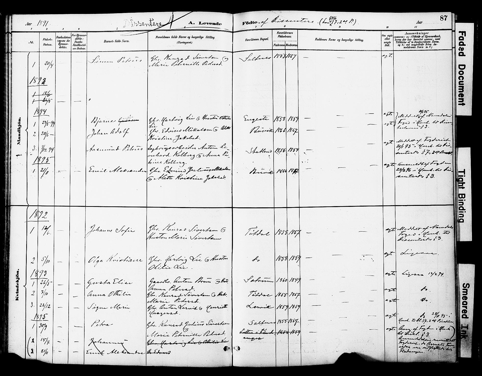 Ministerialprotokoller, klokkerbøker og fødselsregistre - Nord-Trøndelag, AV/SAT-A-1458/774/L0628: Parish register (official) no. 774A02, 1887-1903, p. 87