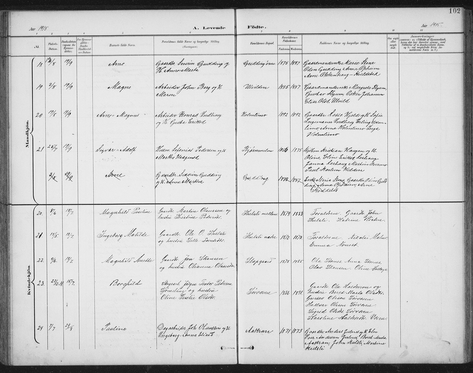 Ministerialprotokoller, klokkerbøker og fødselsregistre - Nord-Trøndelag, AV/SAT-A-1458/724/L0269: Parish register (copy) no. 724C05, 1899-1920, p. 102