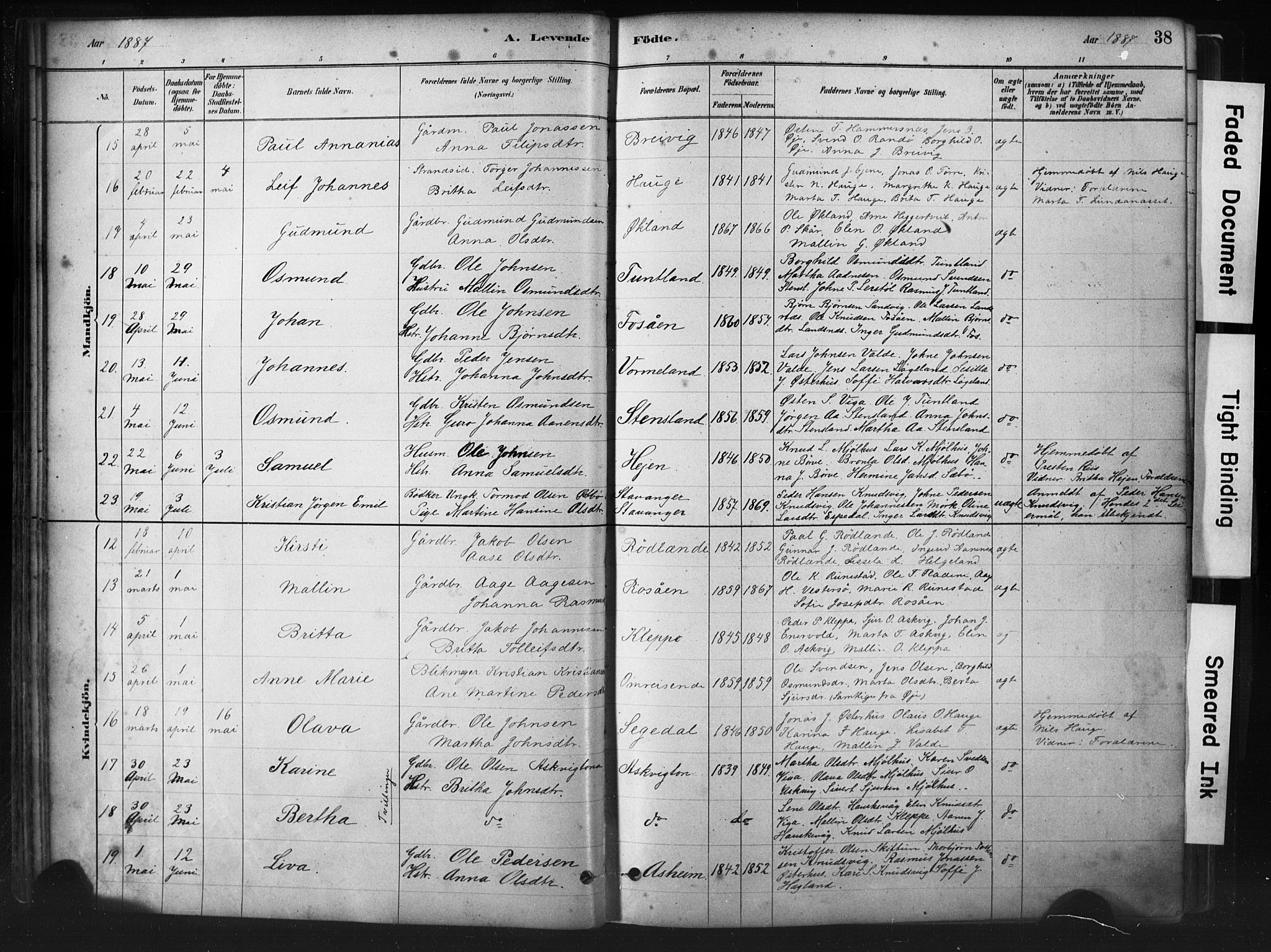 Hjelmeland sokneprestkontor, SAST/A-101843/01/IV/L0014: Parish register (official) no. A 14, 1879-1900, p. 38