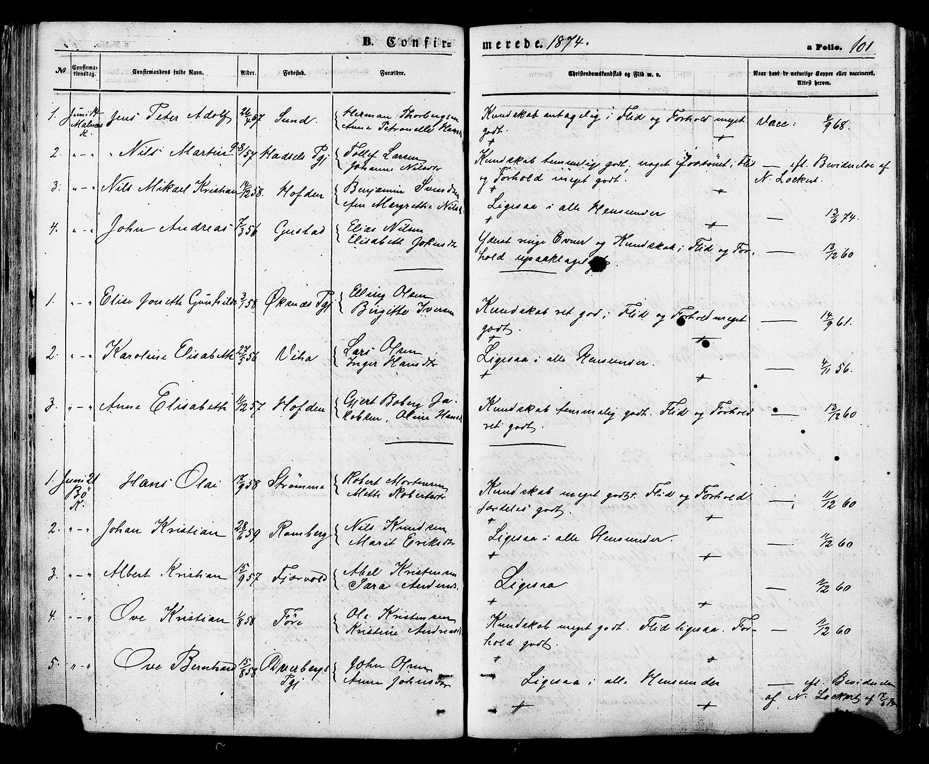 Ministerialprotokoller, klokkerbøker og fødselsregistre - Nordland, SAT/A-1459/891/L1301: Parish register (official) no. 891A06, 1870-1878, p. 101
