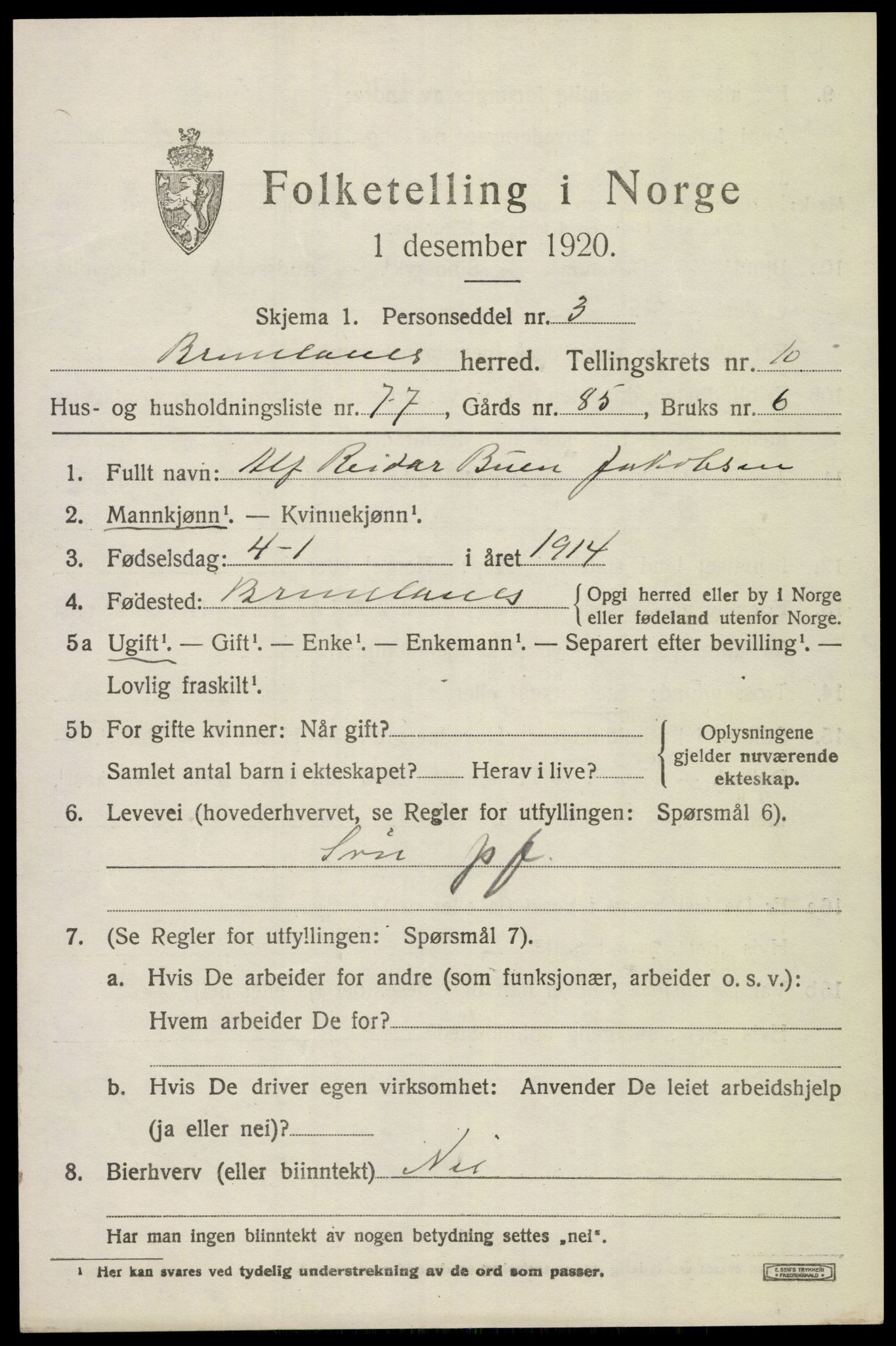 SAKO, 1920 census for Brunlanes, 1920, p. 9245