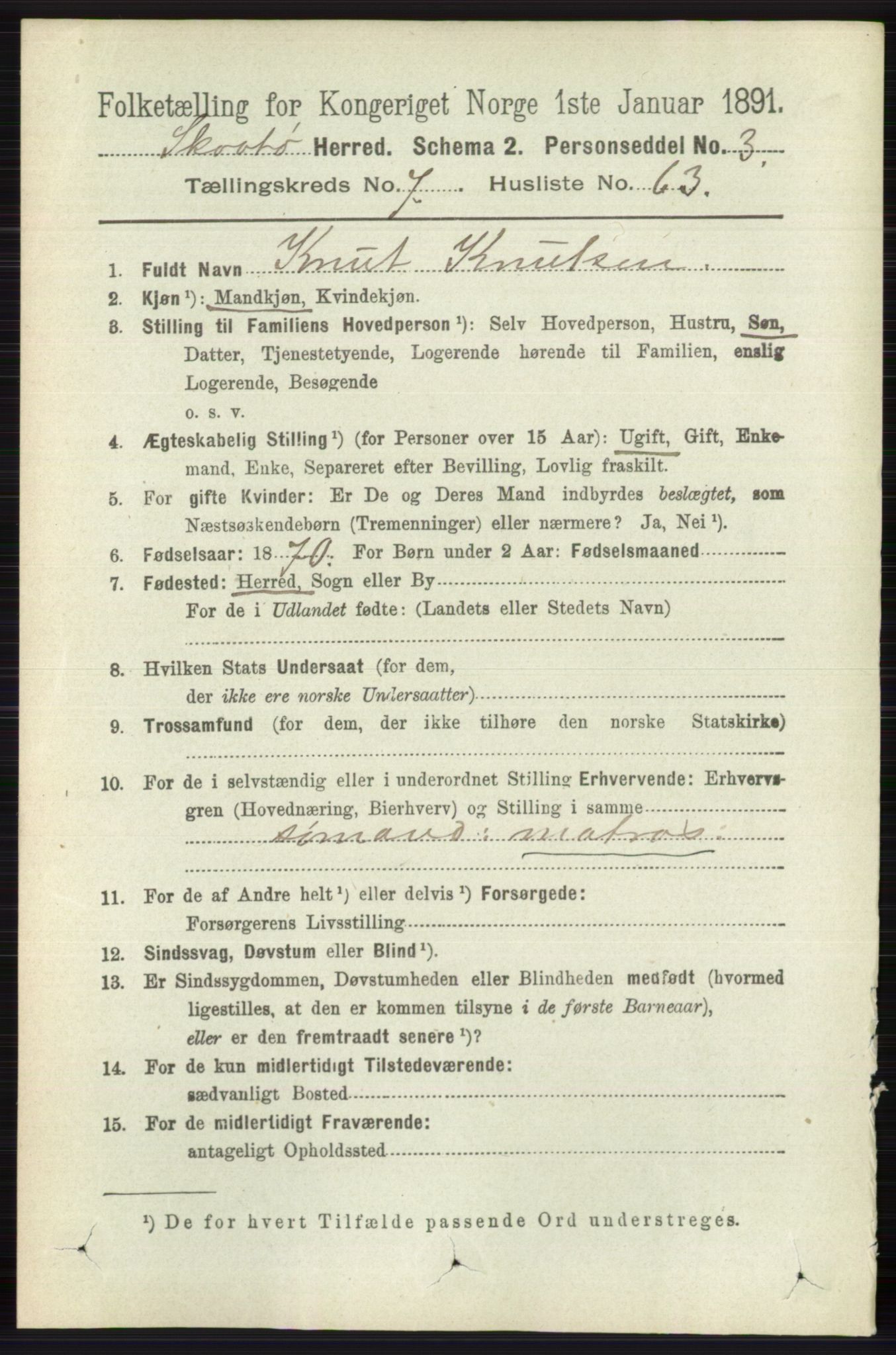 RA, 1891 census for 0815 Skåtøy, 1891, p. 3401