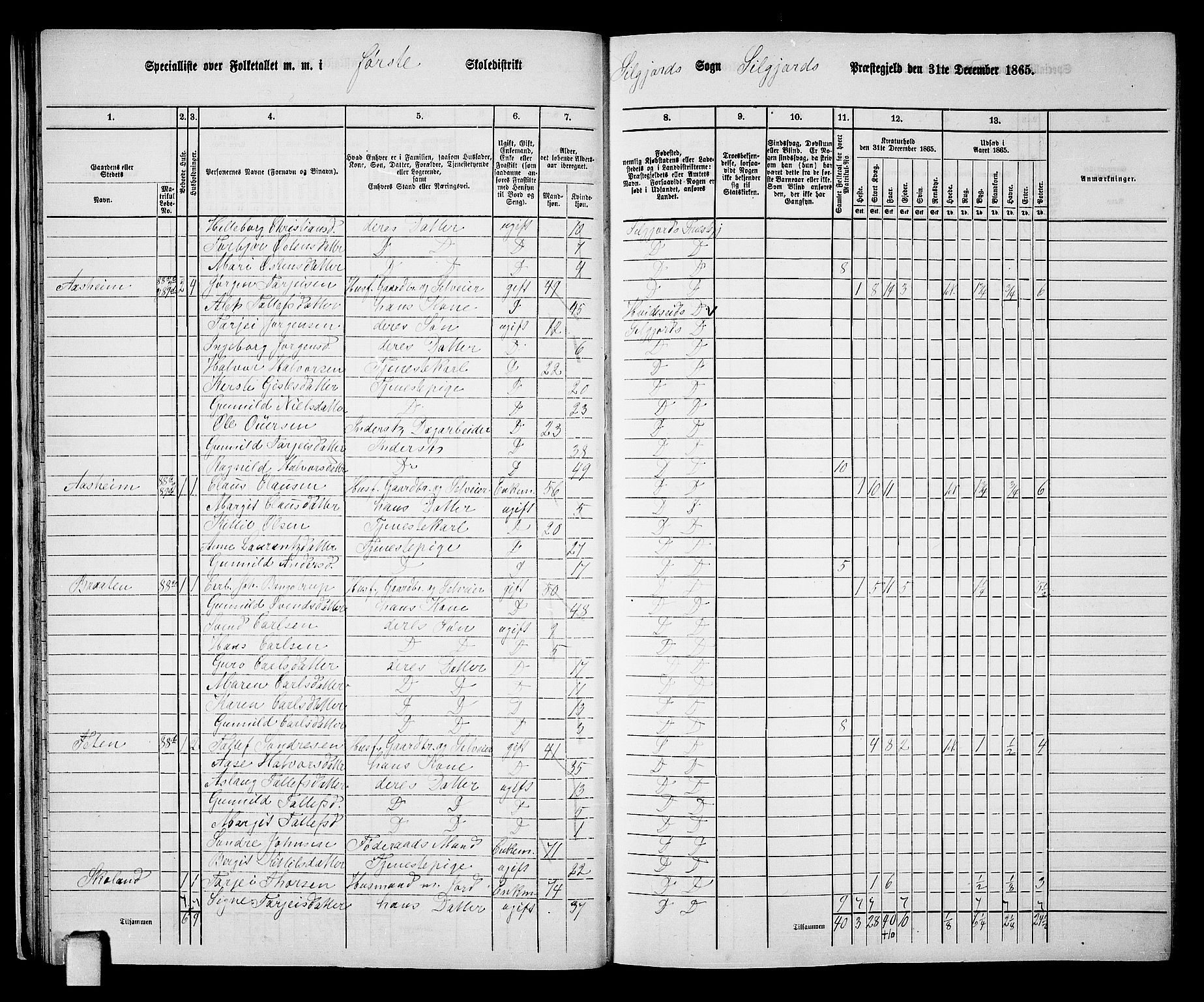 RA, 1865 census for Seljord, 1865, p. 27