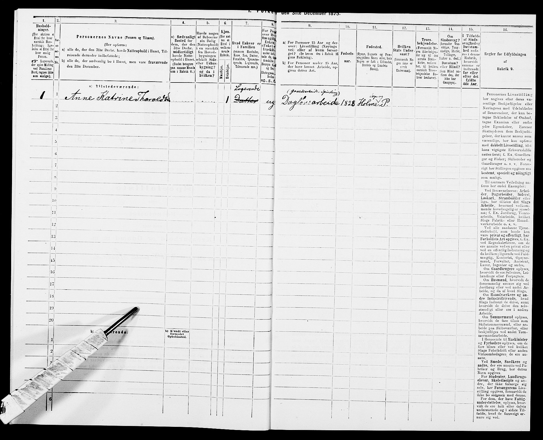 SAK, 1875 census for 1020P Holum, 1875, p. 457