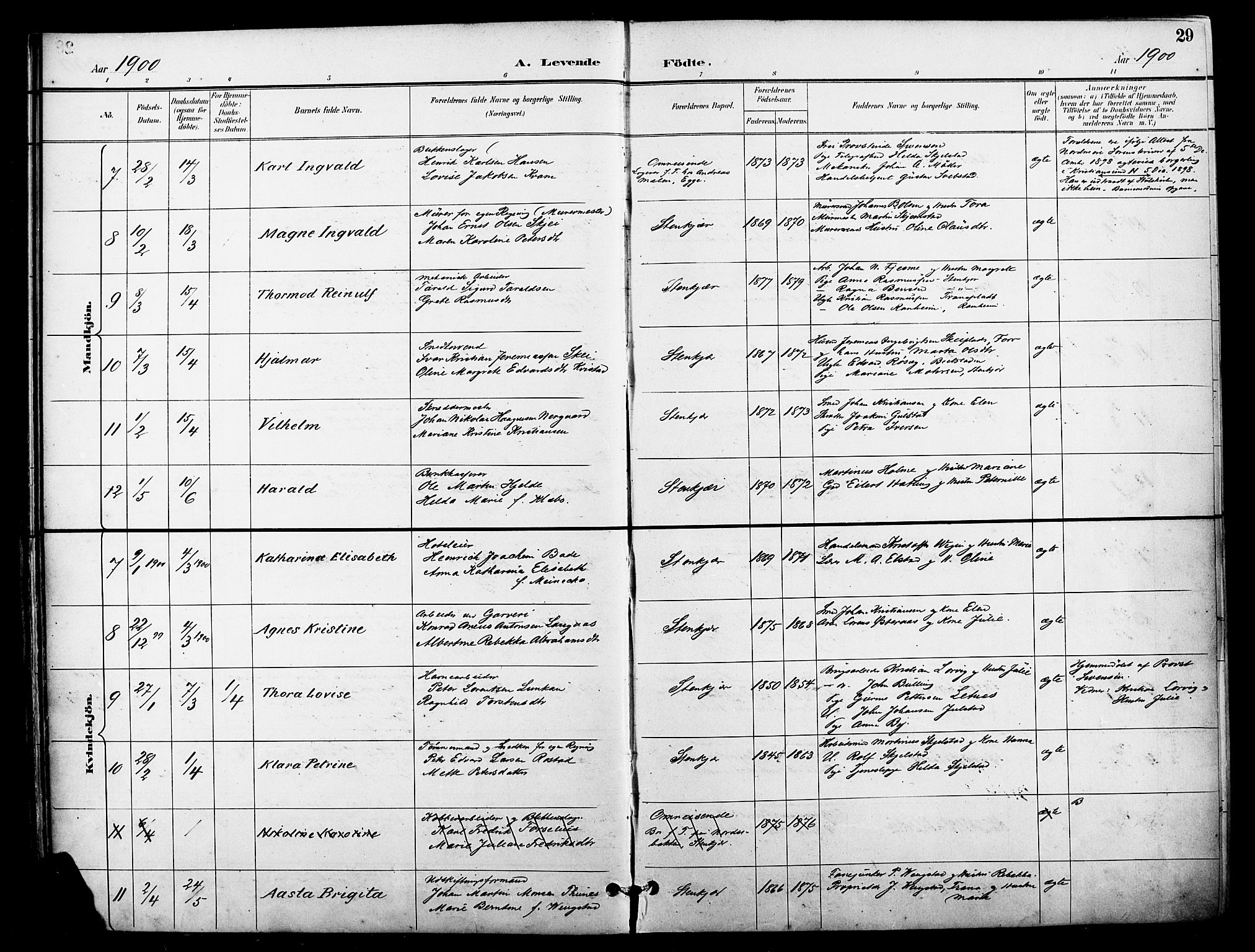 Ministerialprotokoller, klokkerbøker og fødselsregistre - Nord-Trøndelag, SAT/A-1458/739/L0372: Parish register (official) no. 739A04, 1895-1903, p. 29