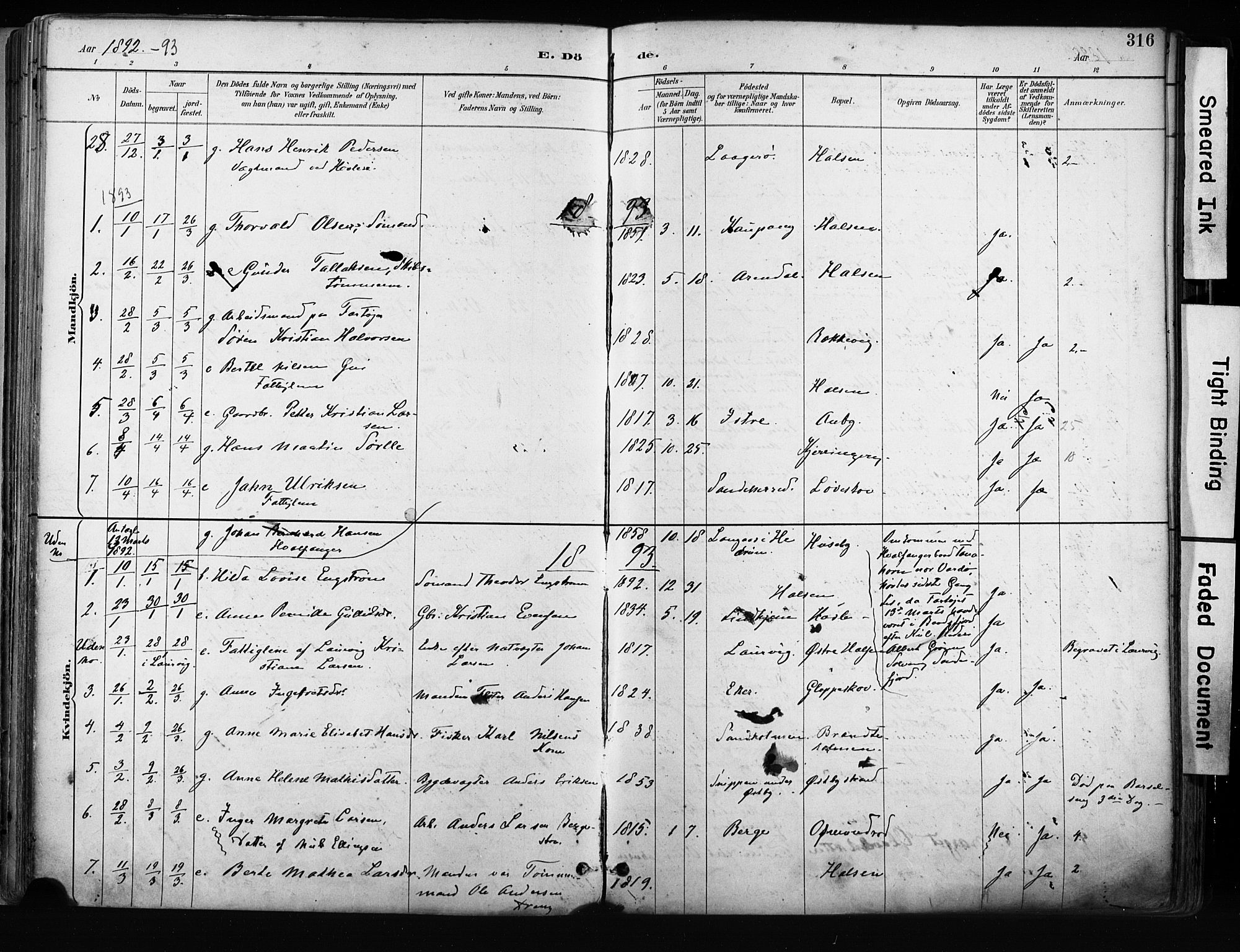 Tjølling kirkebøker, AV/SAKO-A-60/F/Fa/L0009: Parish register (official) no. 9, 1887-1905, p. 316