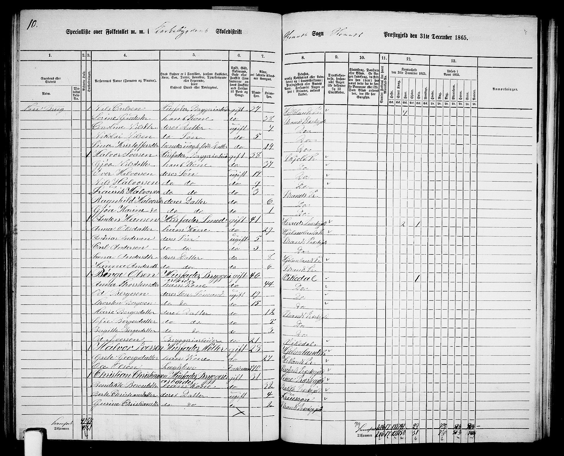 RA, 1865 census for Strand, 1865, p. 49