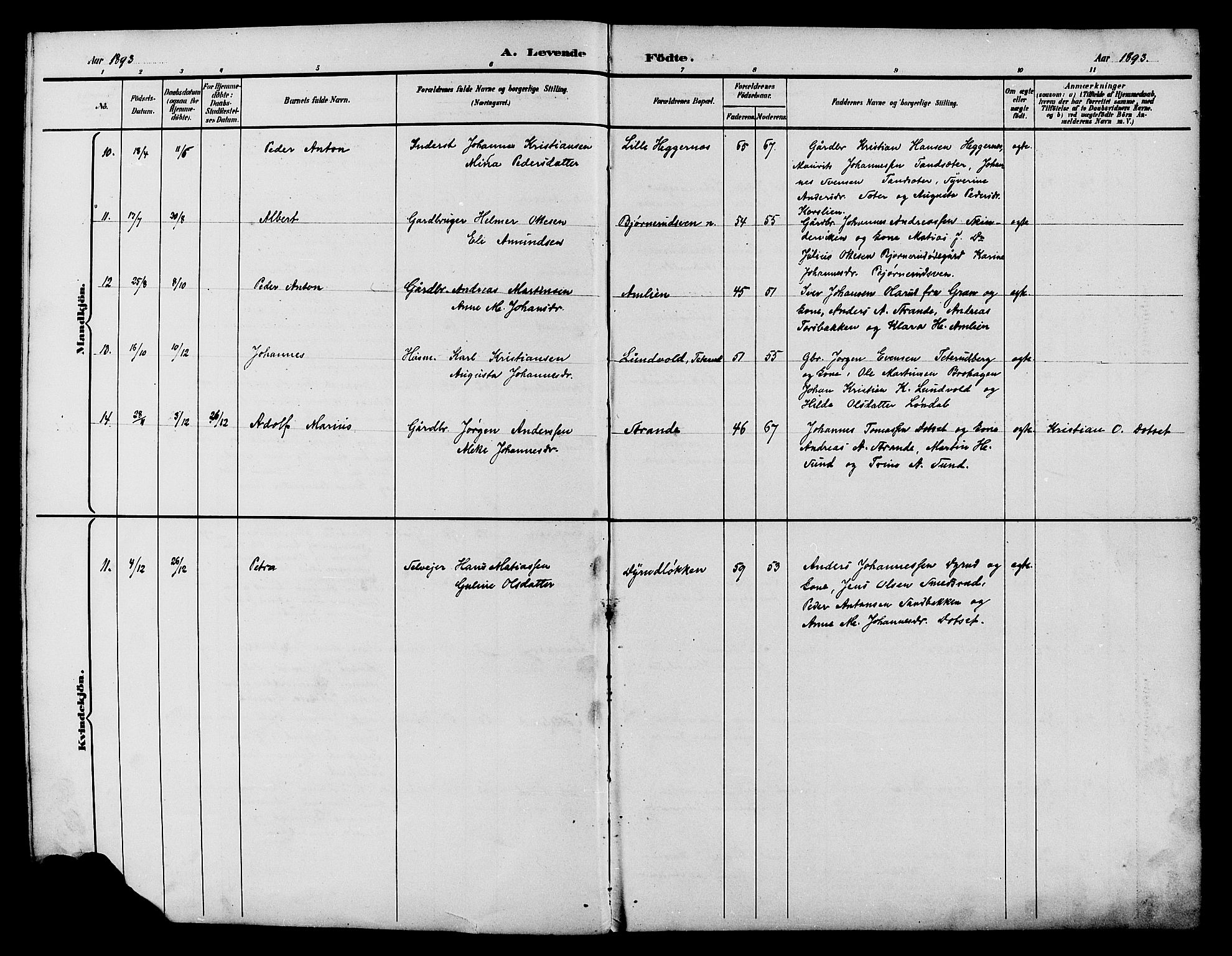 Vestre Toten prestekontor, SAH/PREST-108/H/Ha/Hab/L0015: Parish register (copy) no. 15, 1890-1900