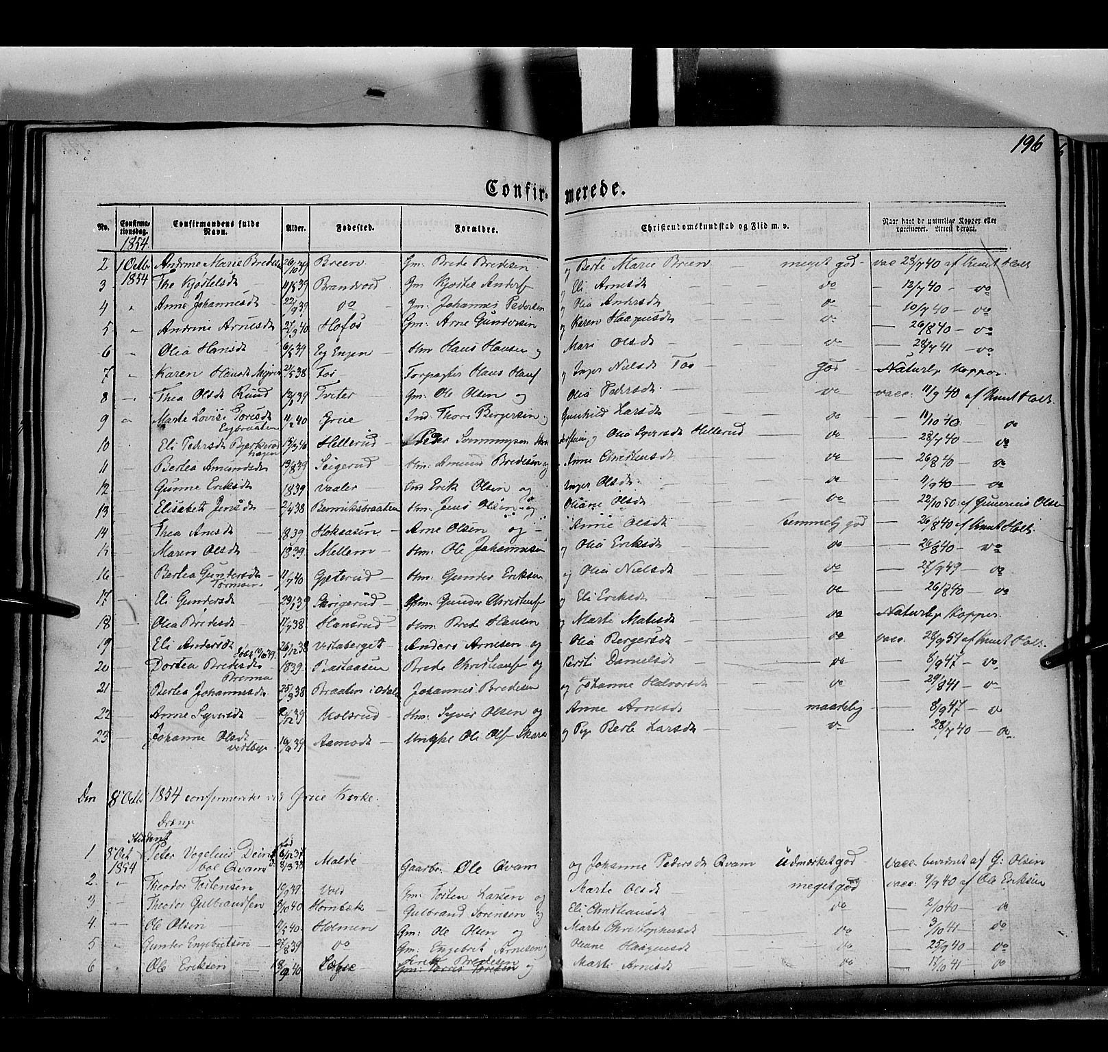 Grue prestekontor, AV/SAH-PREST-036/H/Ha/Haa/L0008: Parish register (official) no. 8, 1847-1858, p. 196