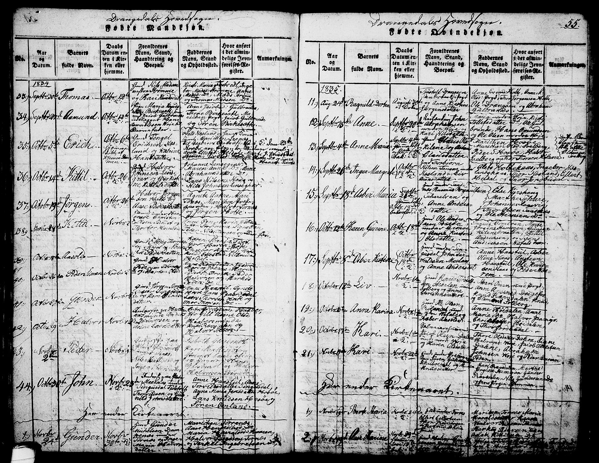 Drangedal kirkebøker, SAKO/A-258/G/Ga/L0001: Parish register (copy) no. I 1 /1, 1814-1856, p. 55