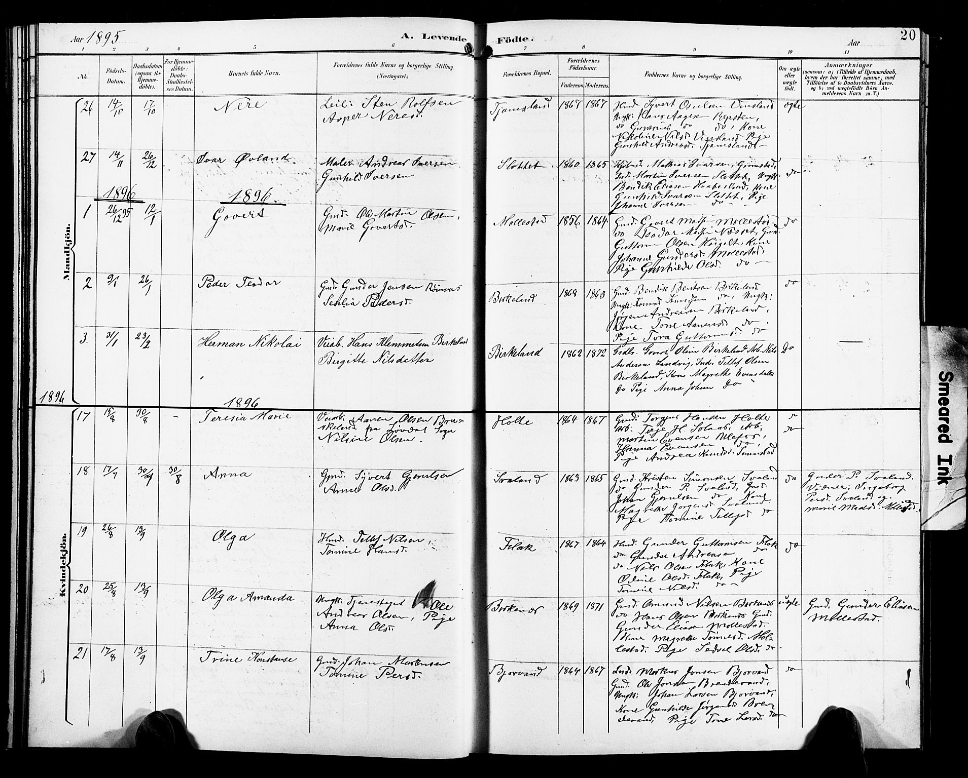 Birkenes sokneprestkontor, AV/SAK-1111-0004/F/Fb/L0004: Parish register (copy) no. B 4, 1893-1930, p. 20