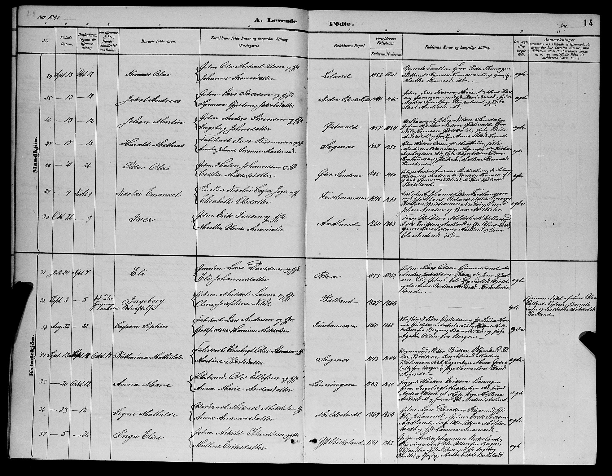 Fana Sokneprestembete, AV/SAB-A-75101/H/Hab/Haba/L0002: Parish register (copy) no. A 2, 1889-1895, p. 14