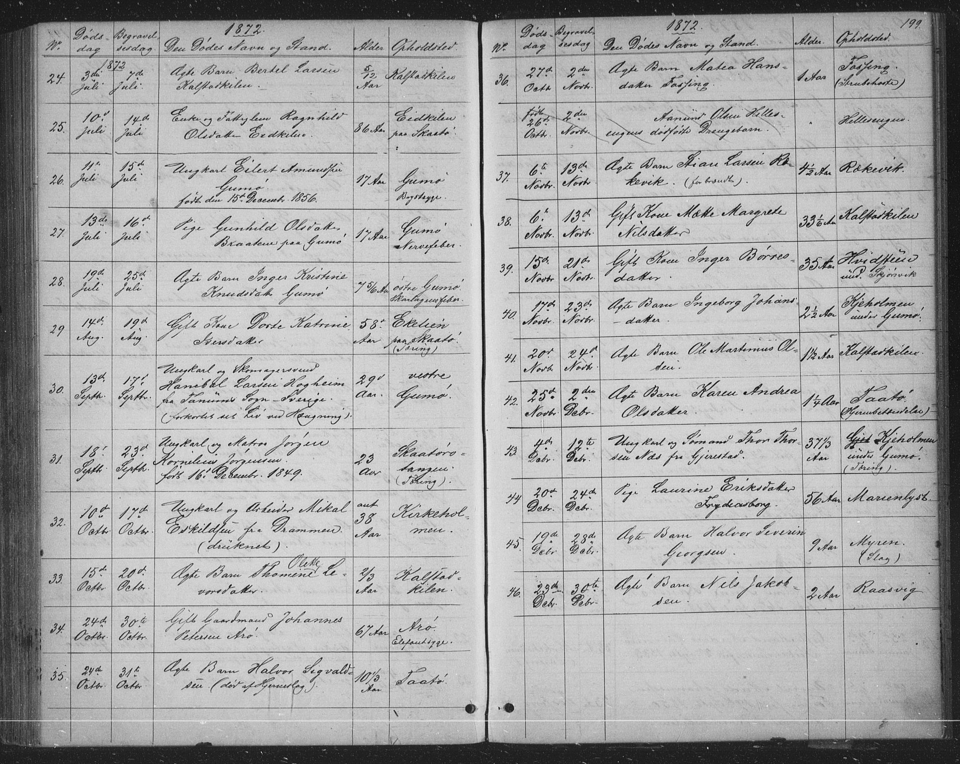 Skåtøy kirkebøker, AV/SAKO-A-304/G/Ga/L0002: Parish register (copy) no. I 2, 1872-1884, p. 199
