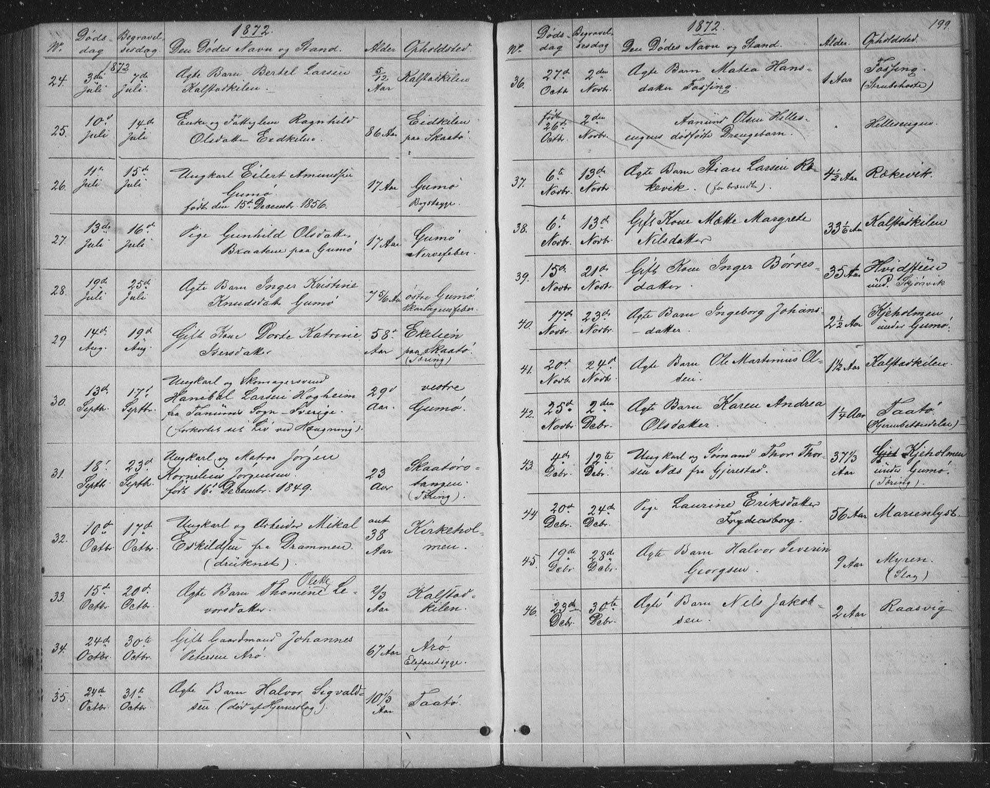 Skåtøy kirkebøker, SAKO/A-304/G/Ga/L0002: Parish register (copy) no. I 2, 1872-1884, p. 199