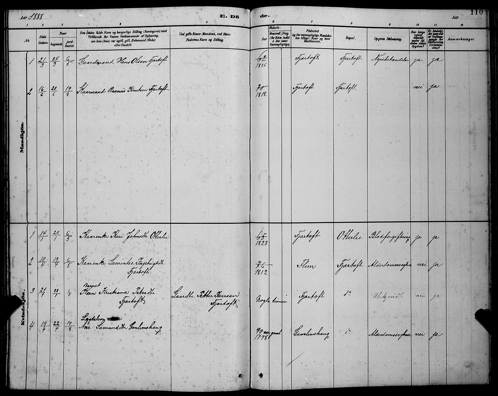 Ministerialprotokoller, klokkerbøker og fødselsregistre - Møre og Romsdal, AV/SAT-A-1454/538/L0523: Parish register (copy) no. 538C01, 1881-1900, p. 110