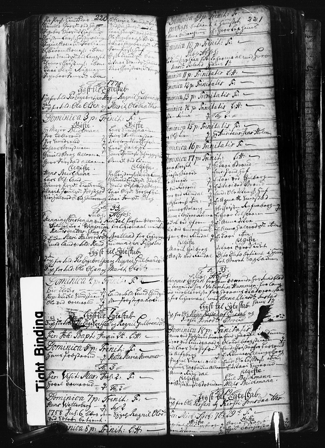 Fåberg prestekontor, AV/SAH-PREST-086/H/Ha/Hab/L0001: Parish register (copy) no. 1, 1727-1767, p. 220-221