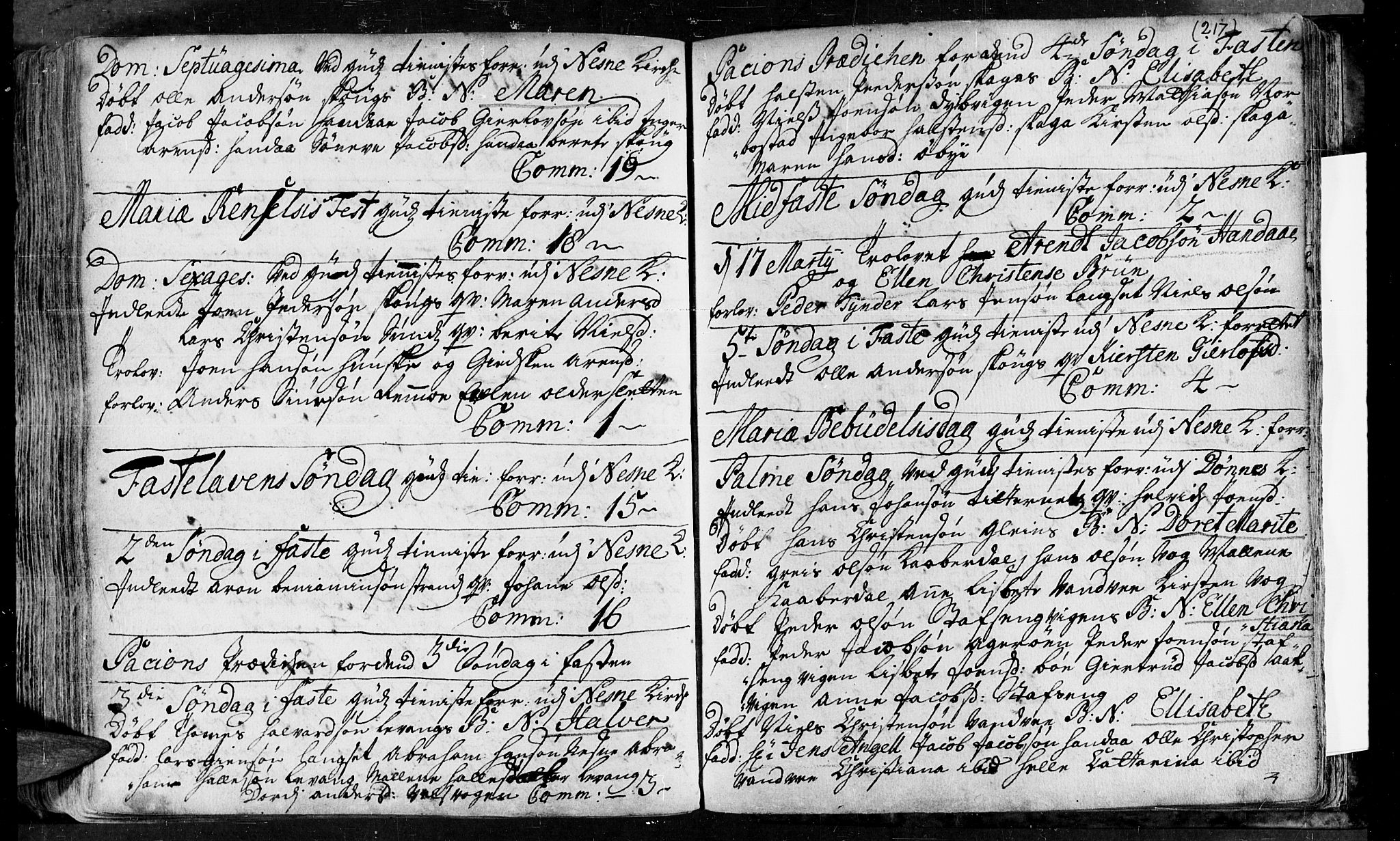 Ministerialprotokoller, klokkerbøker og fødselsregistre - Nordland, AV/SAT-A-1459/838/L0542: Parish register (official) no. 838A01, 1704-1737, p. 217