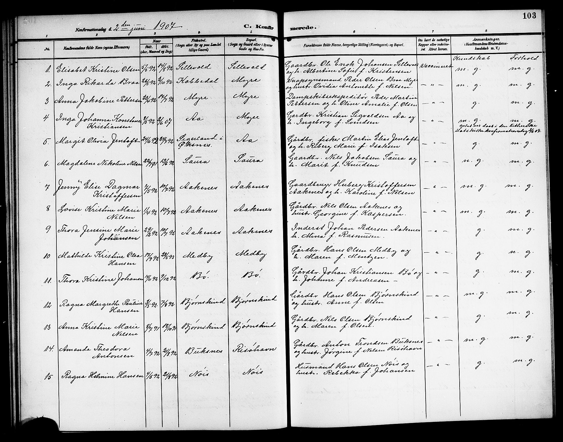 Ministerialprotokoller, klokkerbøker og fødselsregistre - Nordland, AV/SAT-A-1459/897/L1414: Parish register (copy) no. 897C04, 1904-1915, p. 103