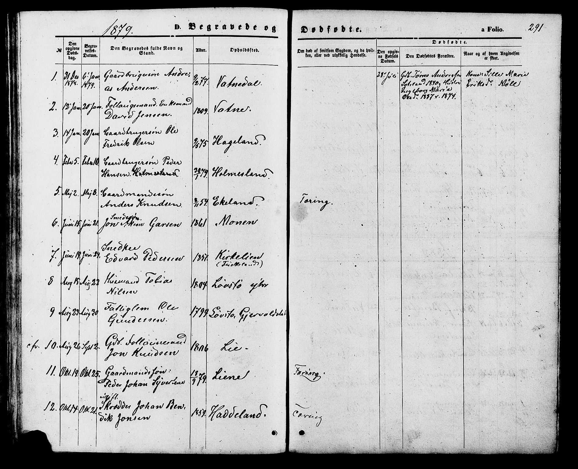 Holum sokneprestkontor, AV/SAK-1111-0022/F/Fb/Fba/L0004: Parish register (copy) no. B 4, 1867-1890, p. 291