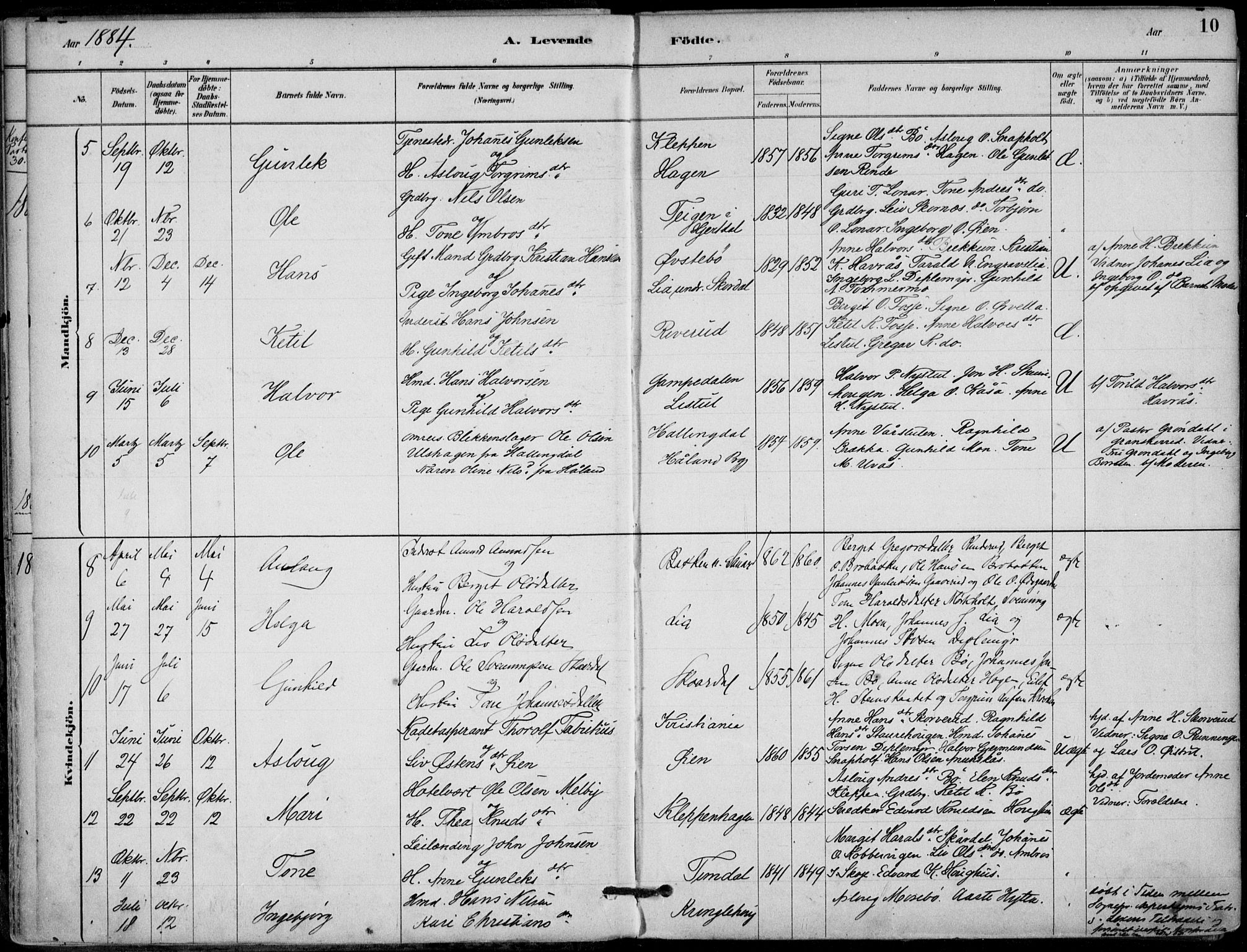Hjartdal kirkebøker, SAKO/A-270/F/Fb/L0002: Parish register (official) no. II 2, 1880-1932, p. 10