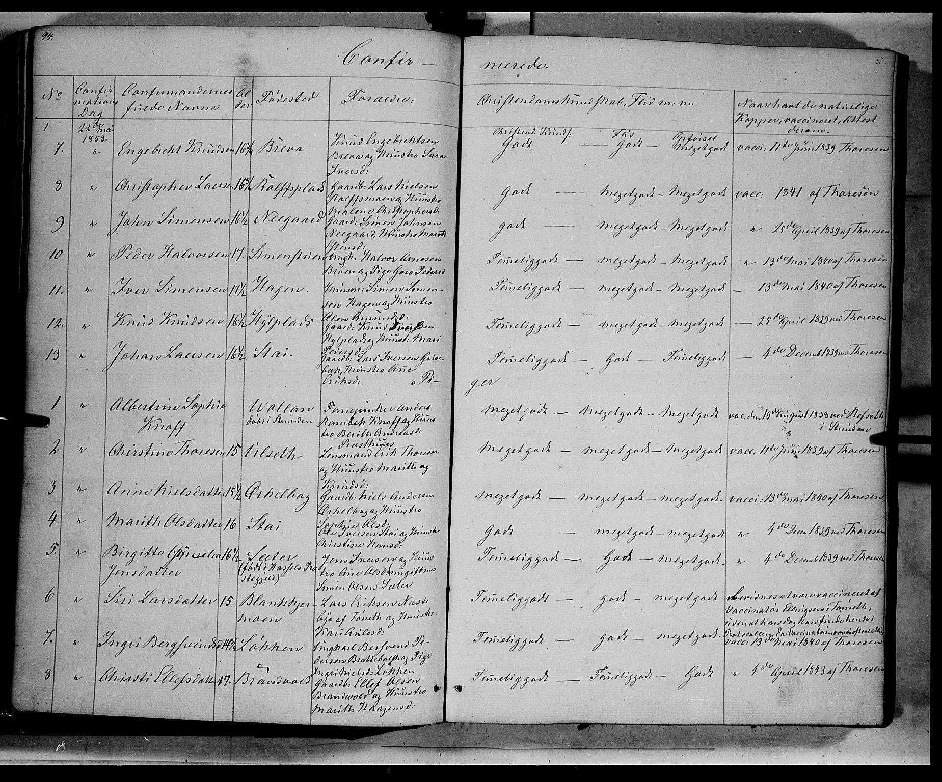 Kvikne prestekontor, SAH/PREST-064/H/Ha/Haa/L0005: Parish register (official) no. 5, 1841-1862, p. 94