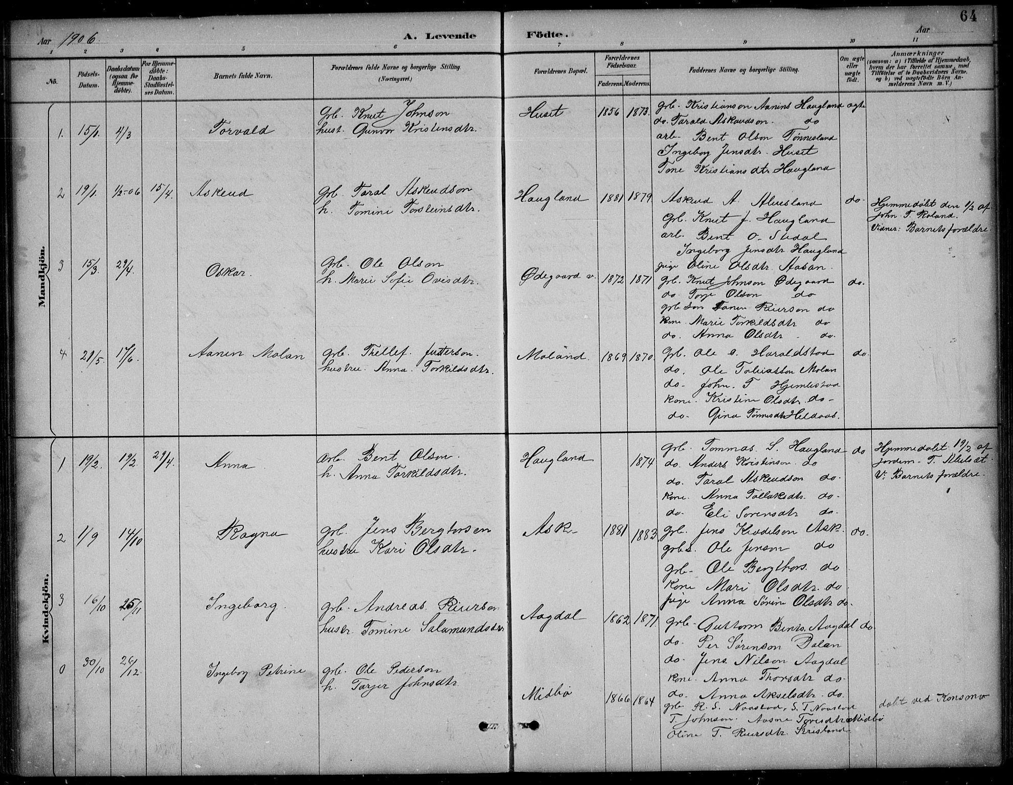 Bjelland sokneprestkontor, SAK/1111-0005/F/Fb/Fba/L0005: Parish register (copy) no. B 5, 1887-1923, p. 64