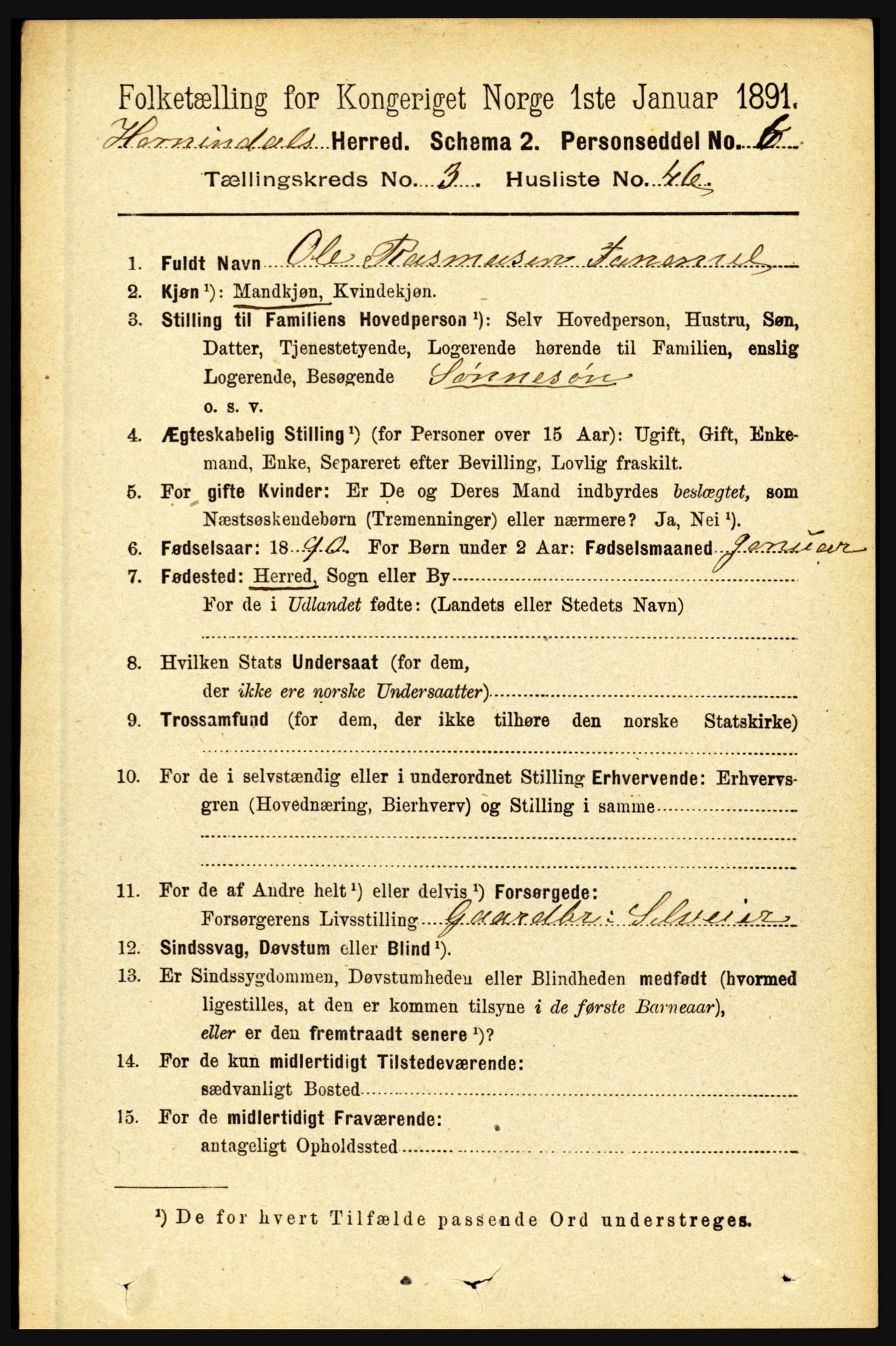 RA, 1891 census for 1444 Hornindal, 1891, p. 811