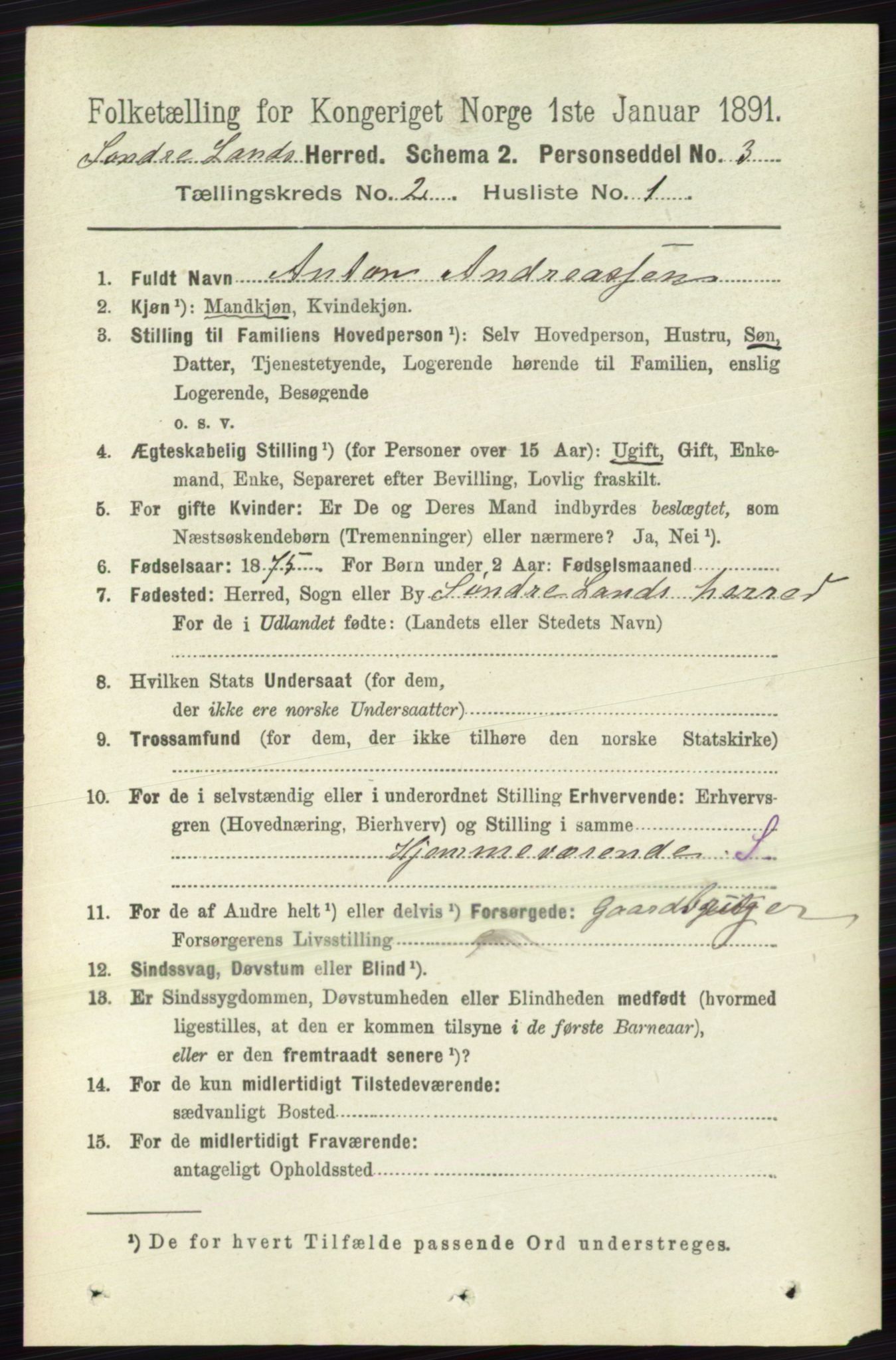 RA, 1891 census for 0536 Søndre Land, 1891, p. 1030