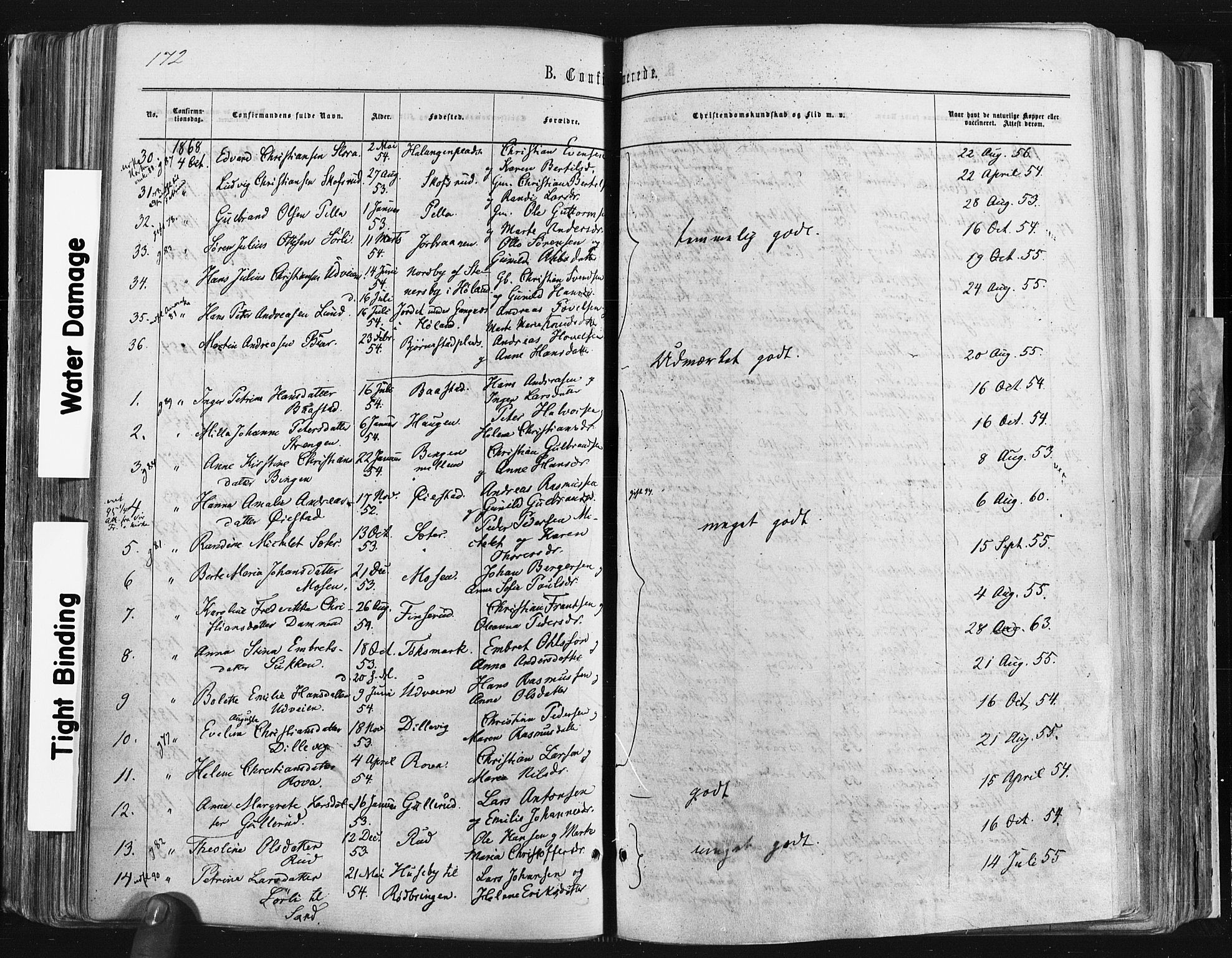 Trøgstad prestekontor Kirkebøker, SAO/A-10925/F/Fa/L0009: Parish register (official) no. I 9, 1865-1877, p. 172