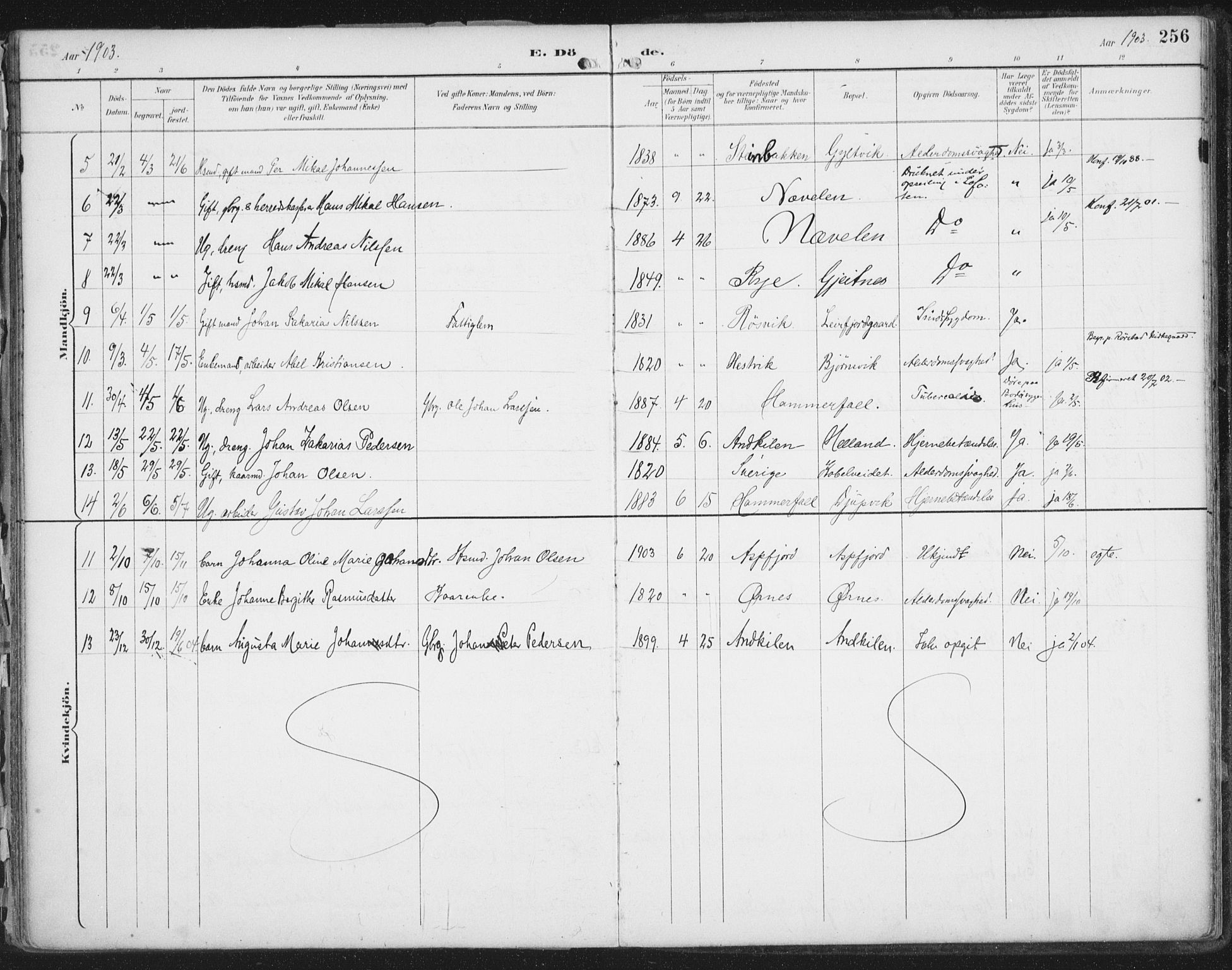 Ministerialprotokoller, klokkerbøker og fødselsregistre - Nordland, SAT/A-1459/854/L0779: Parish register (official) no. 854A02, 1892-1909, p. 256