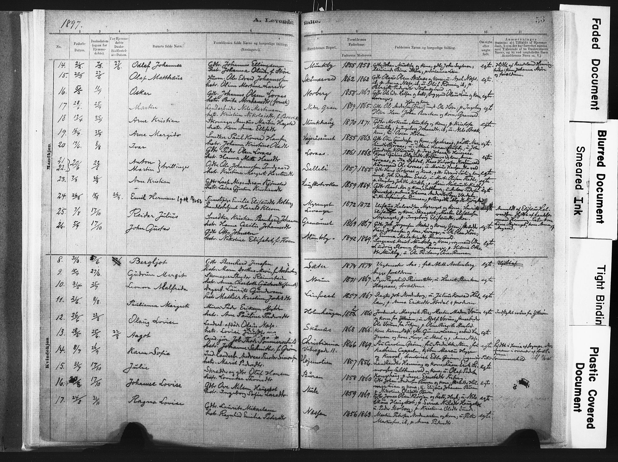 Ministerialprotokoller, klokkerbøker og fødselsregistre - Nord-Trøndelag, SAT/A-1458/721/L0207: Parish register (official) no. 721A02, 1880-1911, p. 53