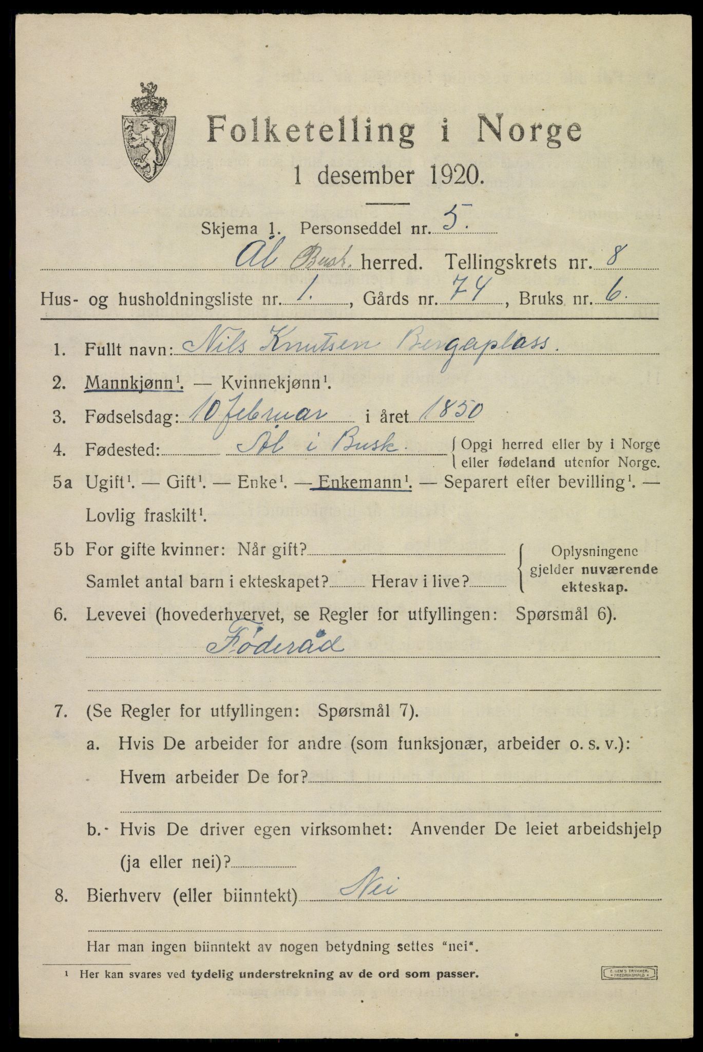 SAKO, 1920 census for Ål, 1920, p. 5356