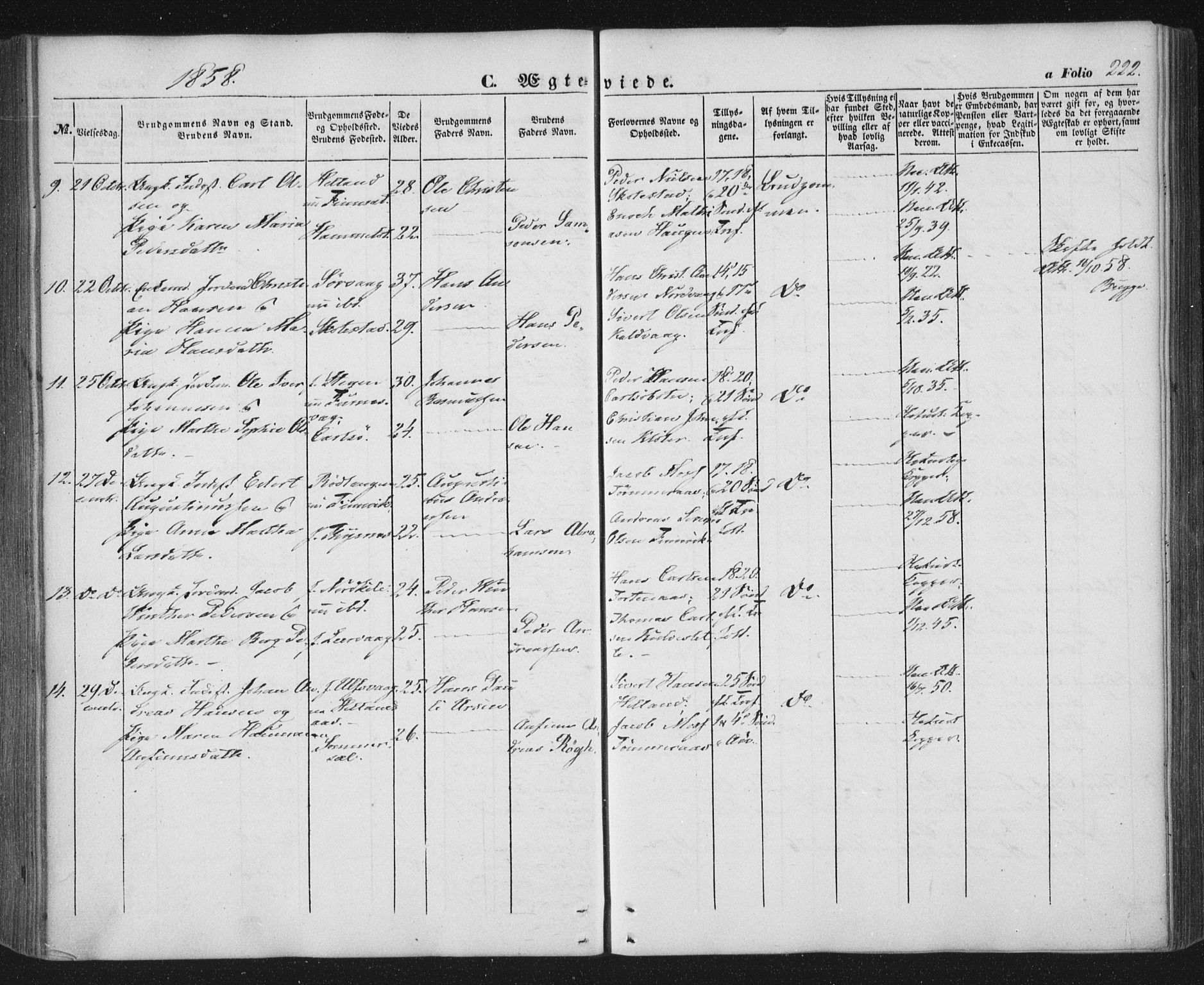 Ministerialprotokoller, klokkerbøker og fødselsregistre - Nordland, AV/SAT-A-1459/859/L0844: Parish register (official) no. 859A04, 1849-1862, p. 222