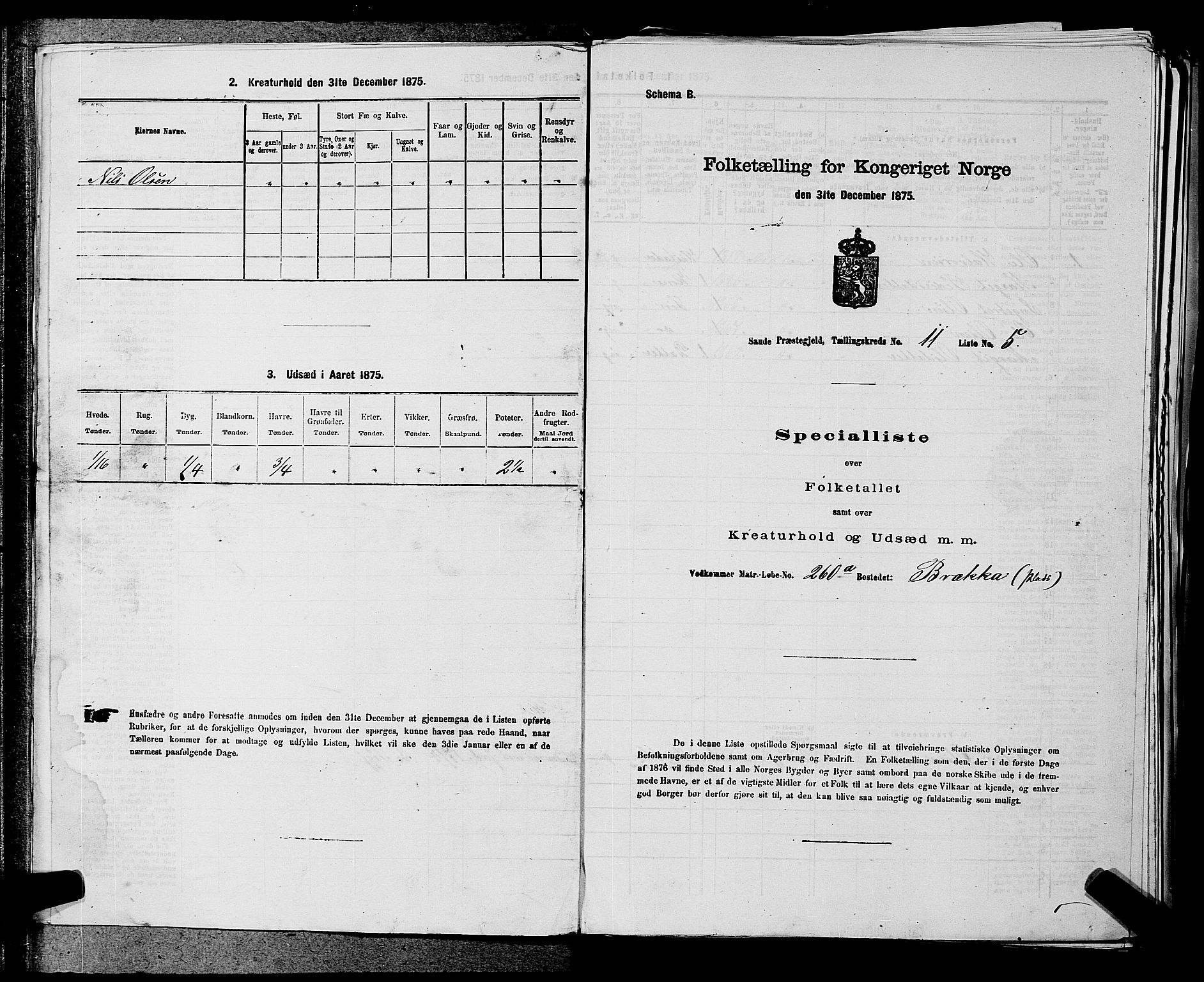 SAKO, 1875 census for 0822P Sauherad, 1875, p. 1315