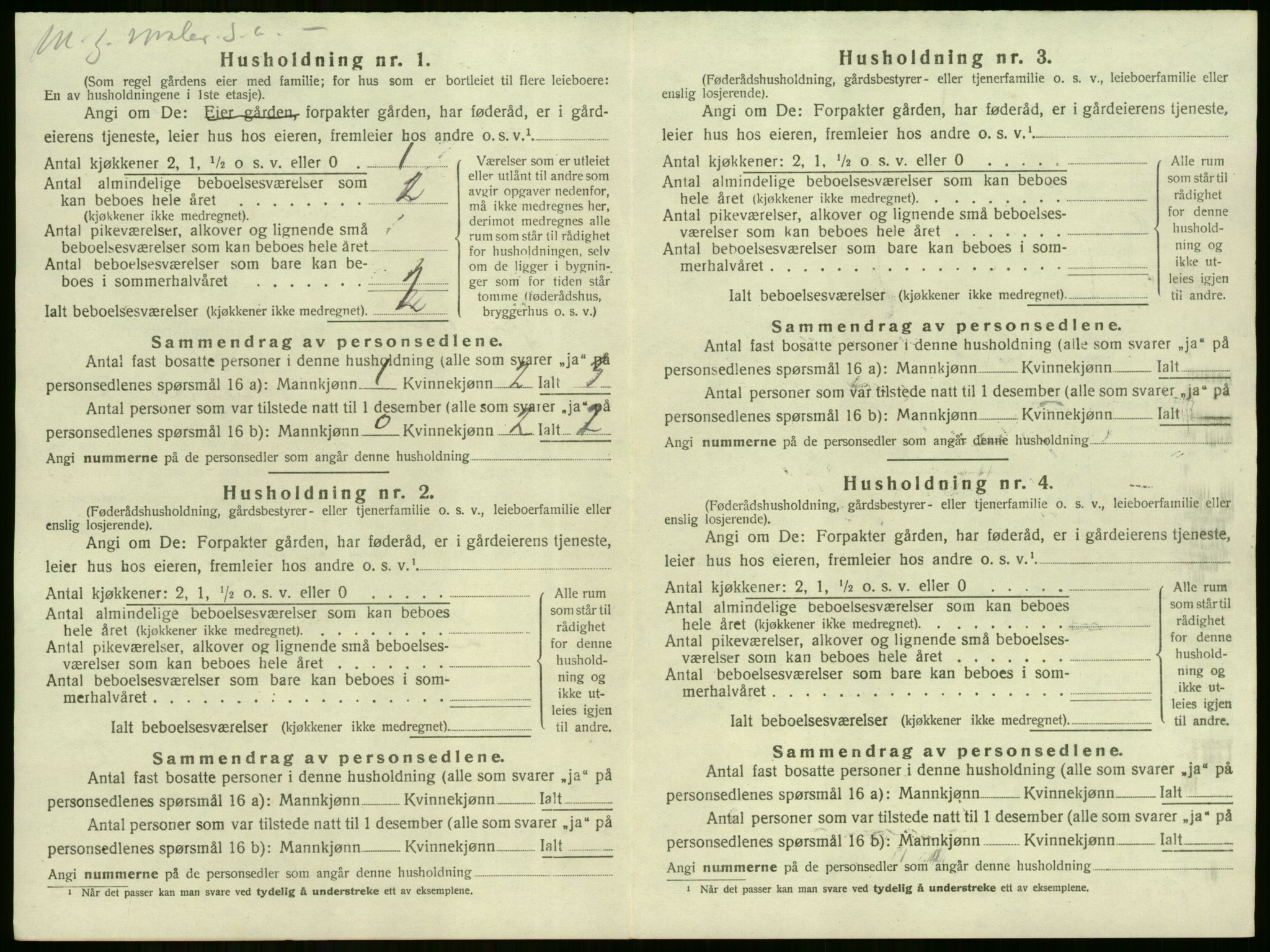 SAKO, 1920 census for Tyristrand, 1920, p. 595