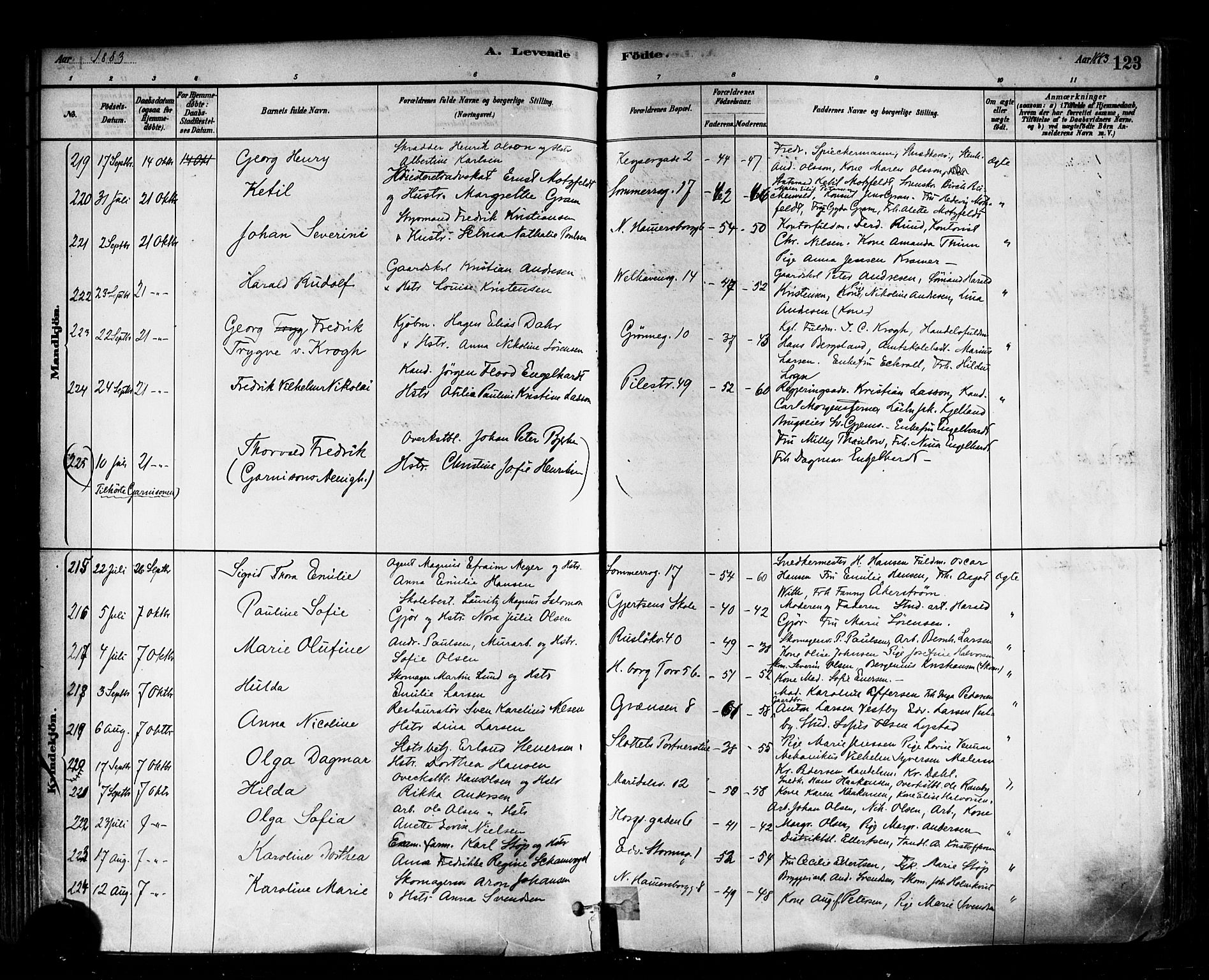 Trefoldighet prestekontor Kirkebøker, SAO/A-10882/F/Fa/L0005: Parish register (official) no. I 5, 1881-1891, p. 123