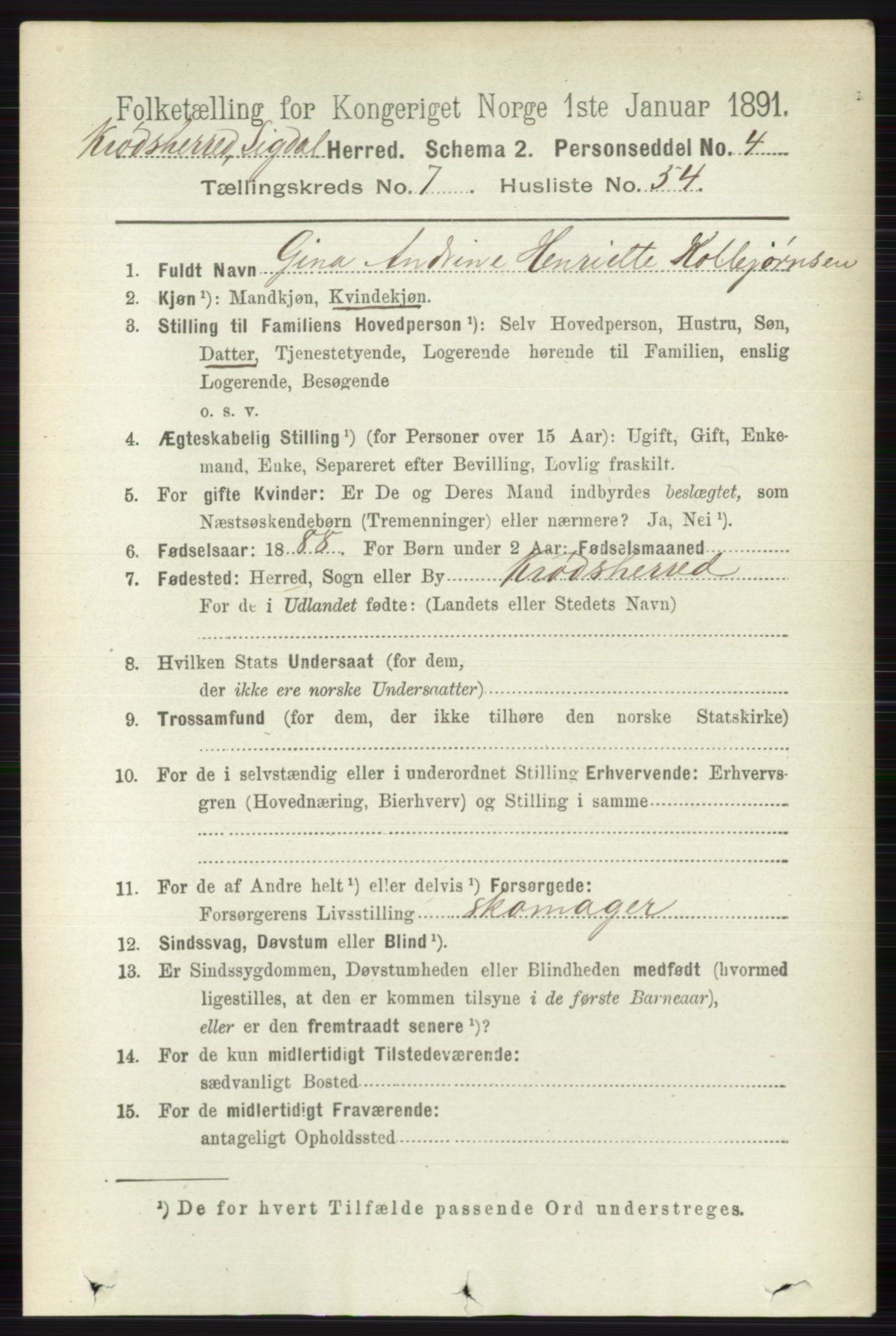 RA, 1891 census for 0621 Sigdal, 1891, p. 7372