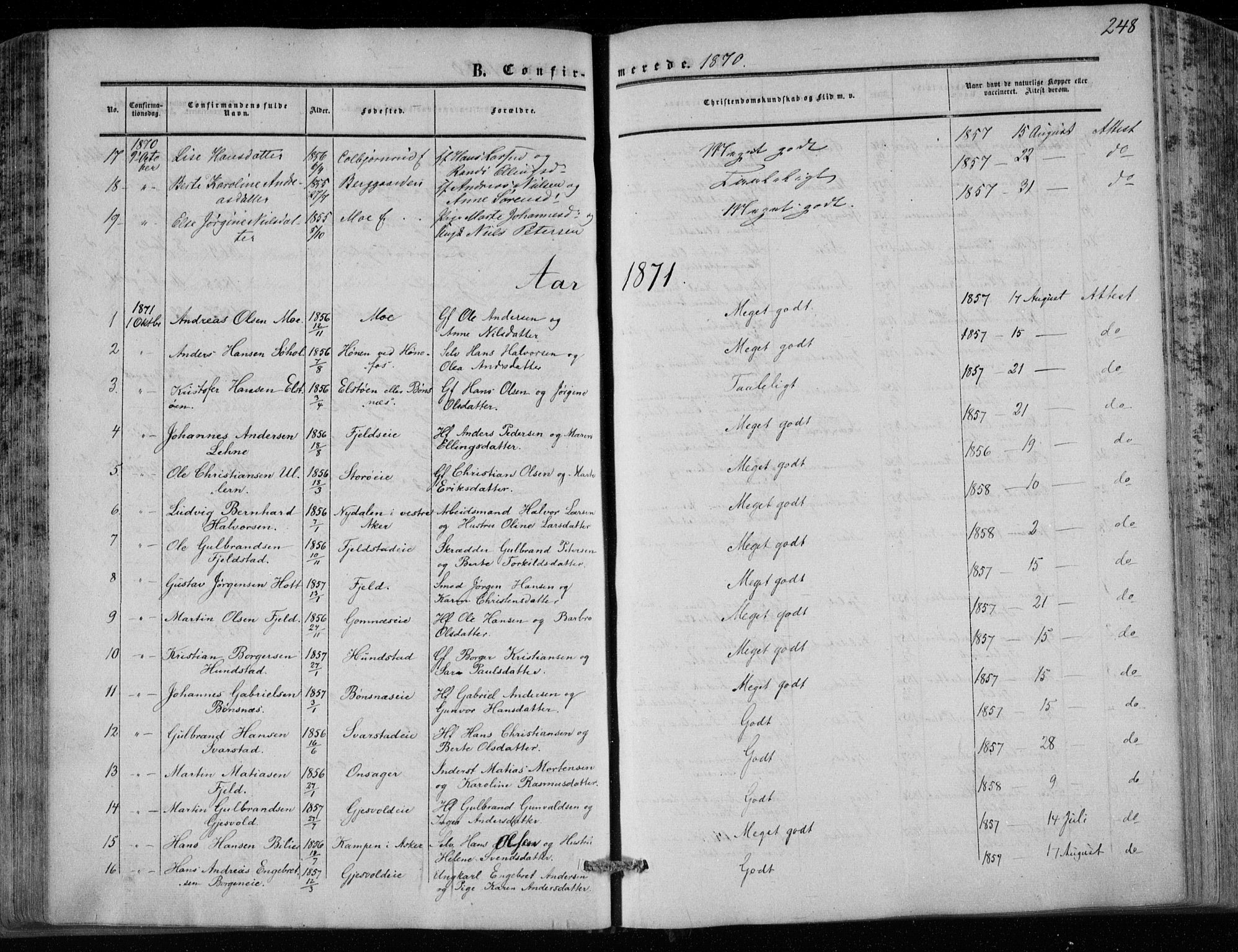 Hole kirkebøker, SAKO/A-228/F/Fa/L0006: Parish register (official) no. I 6, 1852-1872, p. 248