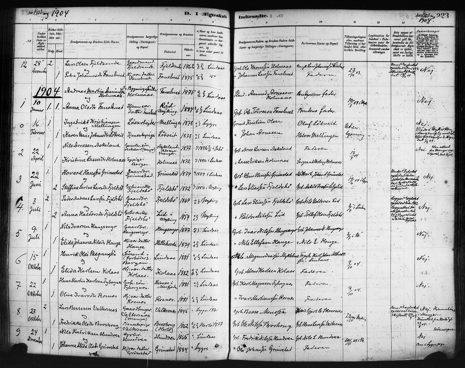 Lindås Sokneprestembete, AV/SAB-A-76701/H/Haa/Haaa/L0019: Parish register (official) no. A 19, 1878-1912, p. 223