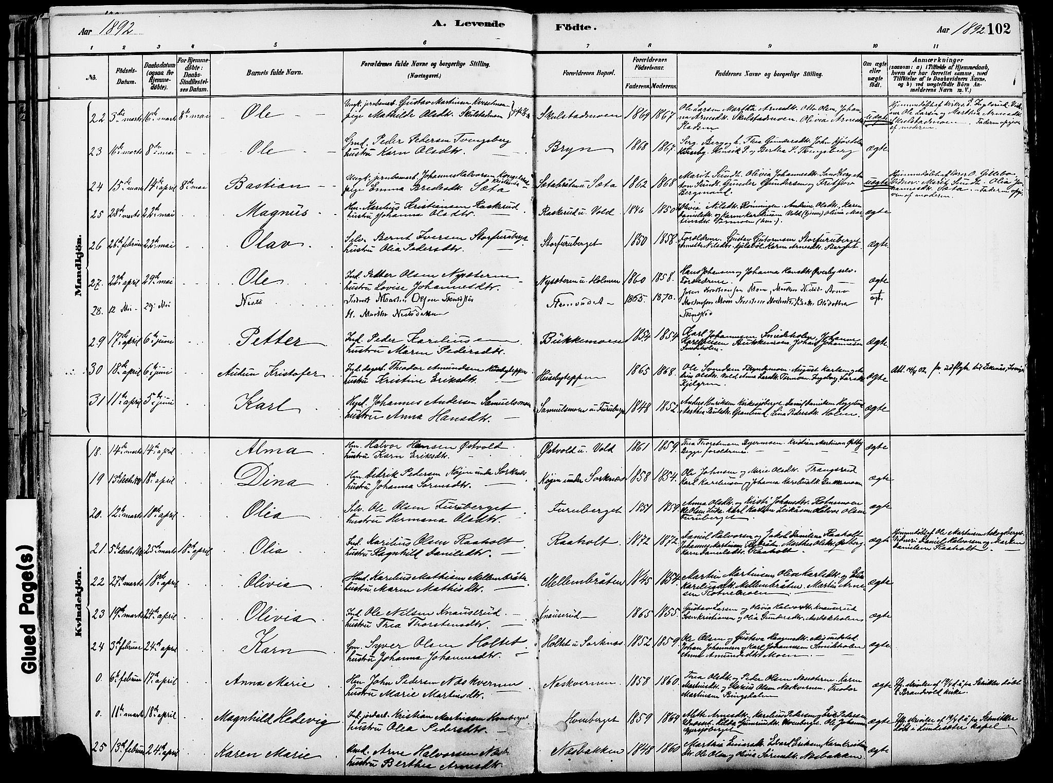 Grue prestekontor, AV/SAH-PREST-036/H/Ha/Haa/L0012: Parish register (official) no. 12, 1881-1897, p. 102