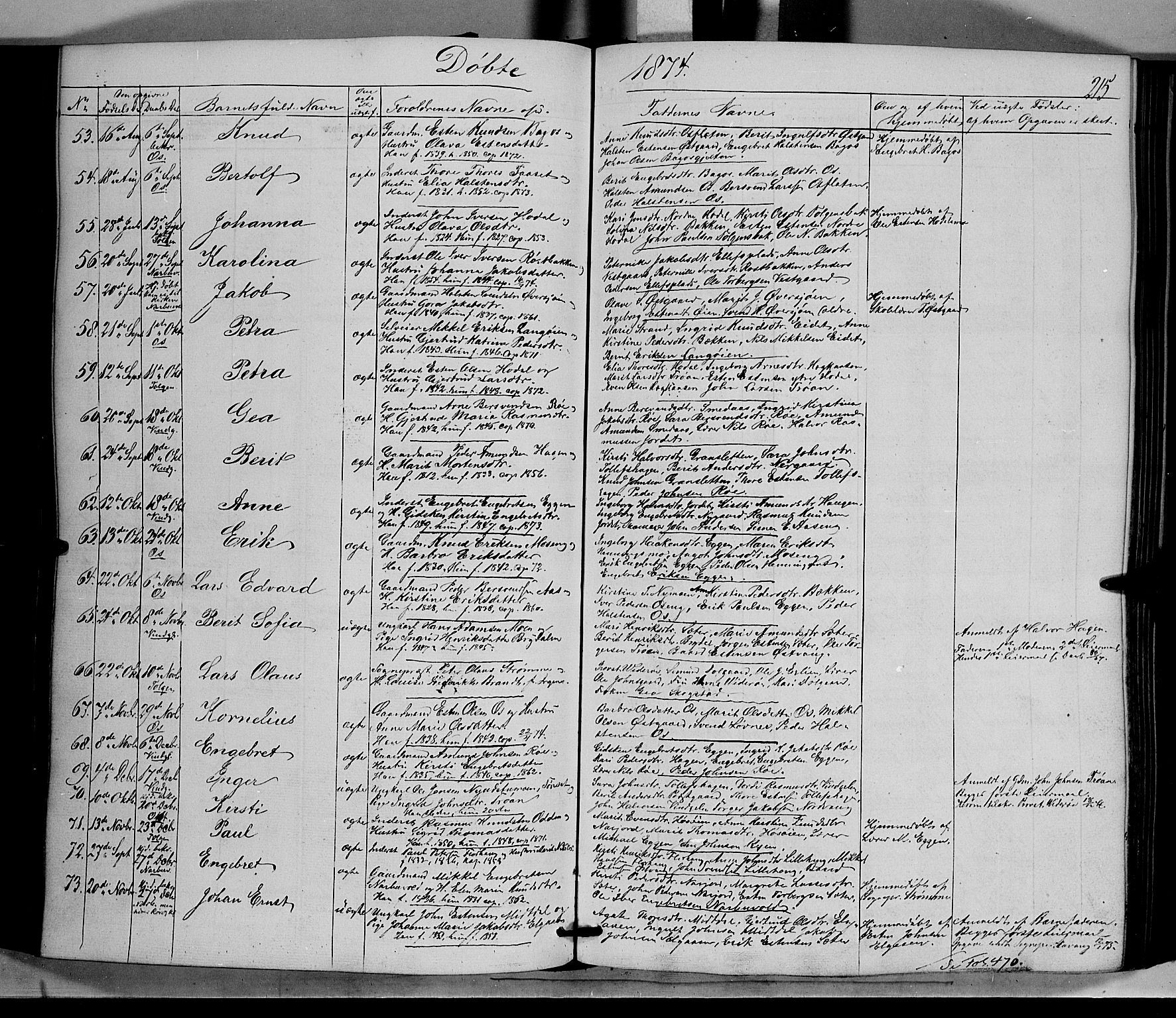 Tolga prestekontor, AV/SAH-PREST-062/K/L0006: Parish register (official) no. 6, 1852-1876, p. 215