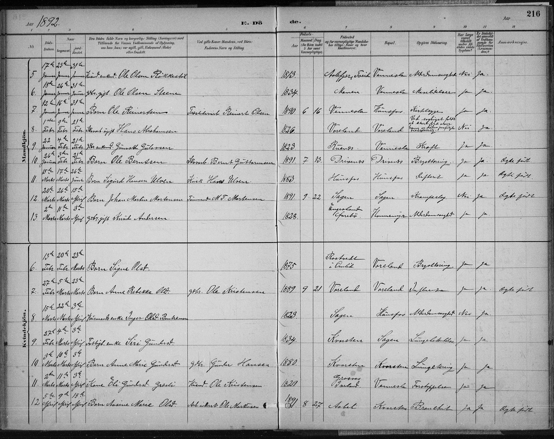 Vennesla sokneprestkontor, AV/SAK-1111-0045/Fa/Fab/L0004: Parish register (official) no. A 4, 1884-1896, p. 216