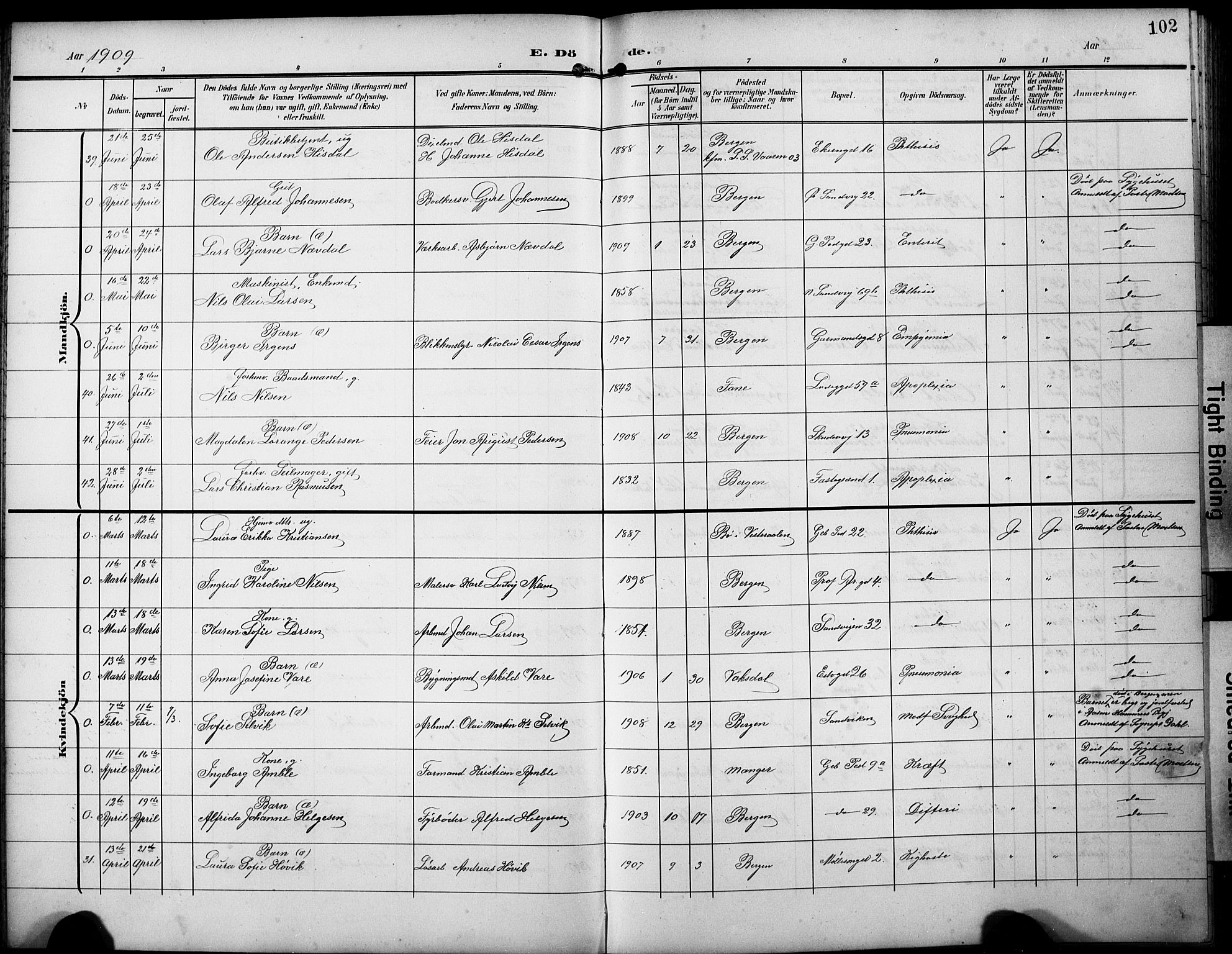 Sandviken Sokneprestembete, AV/SAB-A-77601/H/Hb/L0017: Parish register (copy) no. E 1, 1903-1926, p. 102