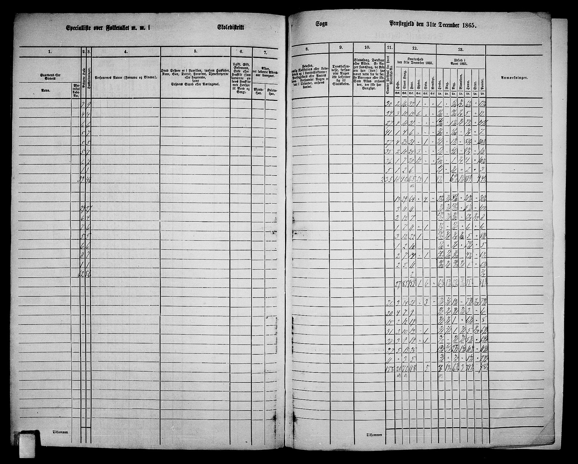 RA, 1865 census for Solum, 1865, p. 215