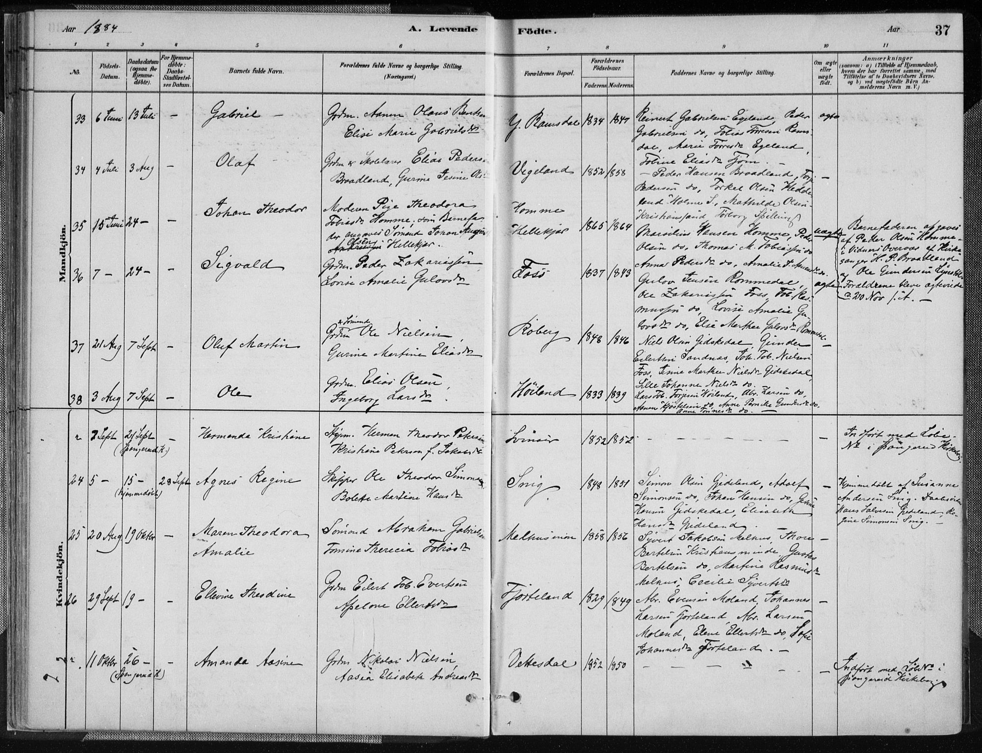 Sør-Audnedal sokneprestkontor, AV/SAK-1111-0039/F/Fa/Fab/L0009: Parish register (official) no. A 9, 1880-1895, p. 37