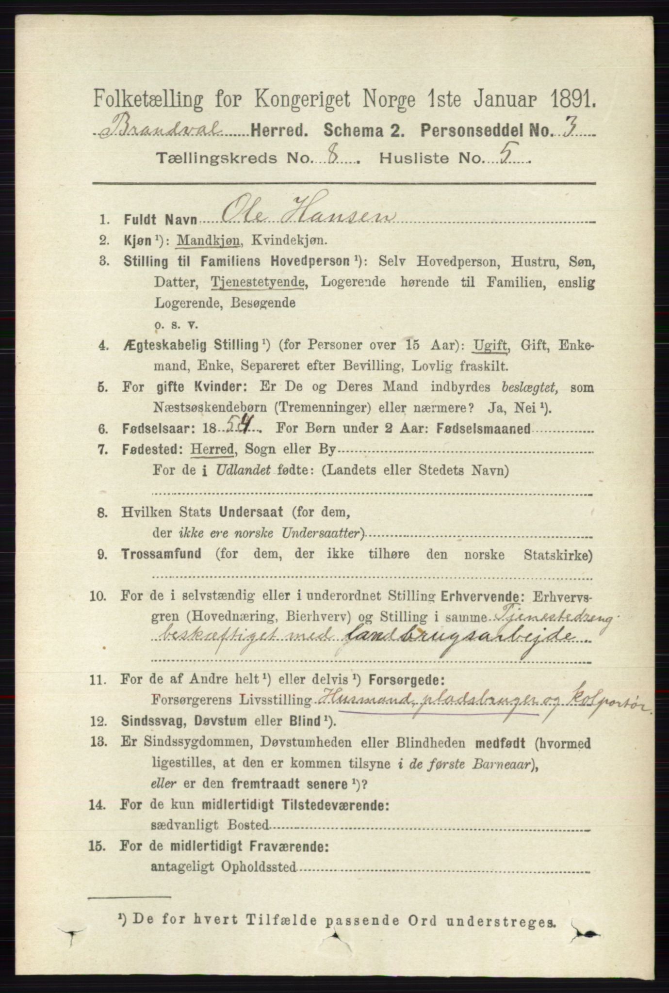 RA, 1891 census for 0422 Brandval, 1891, p. 3863