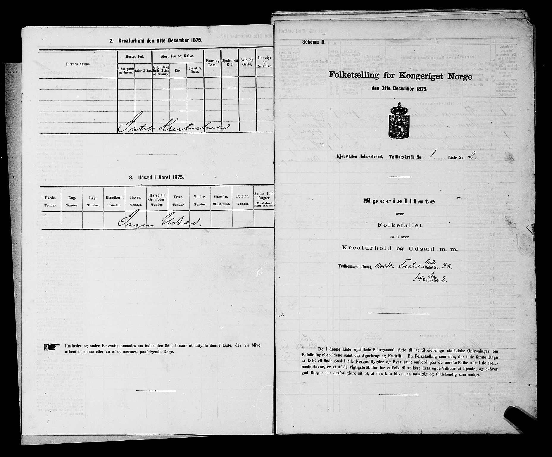 SAKO, 1875 census for 0702P Holmestrand, 1875, p. 15